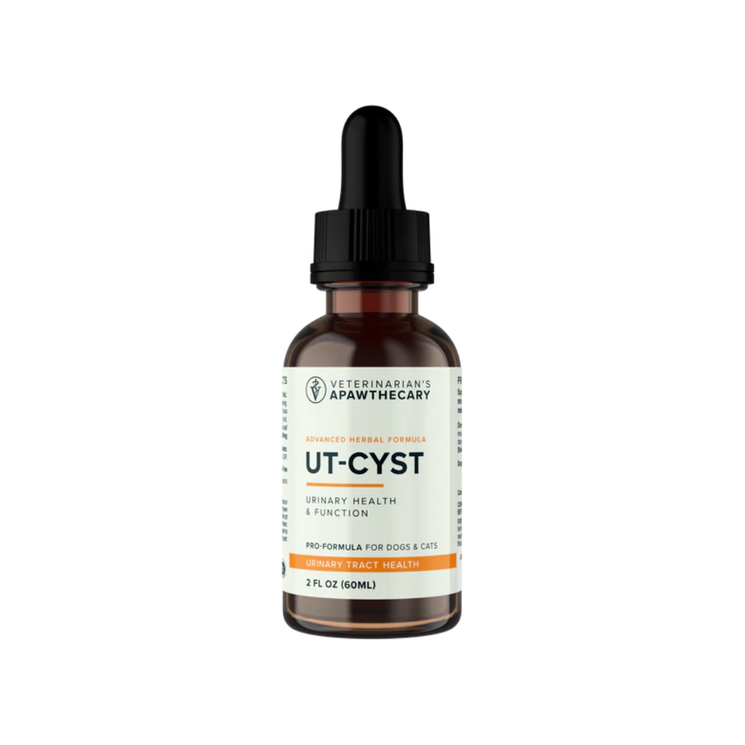 AE UT-CYST | Bladder Support