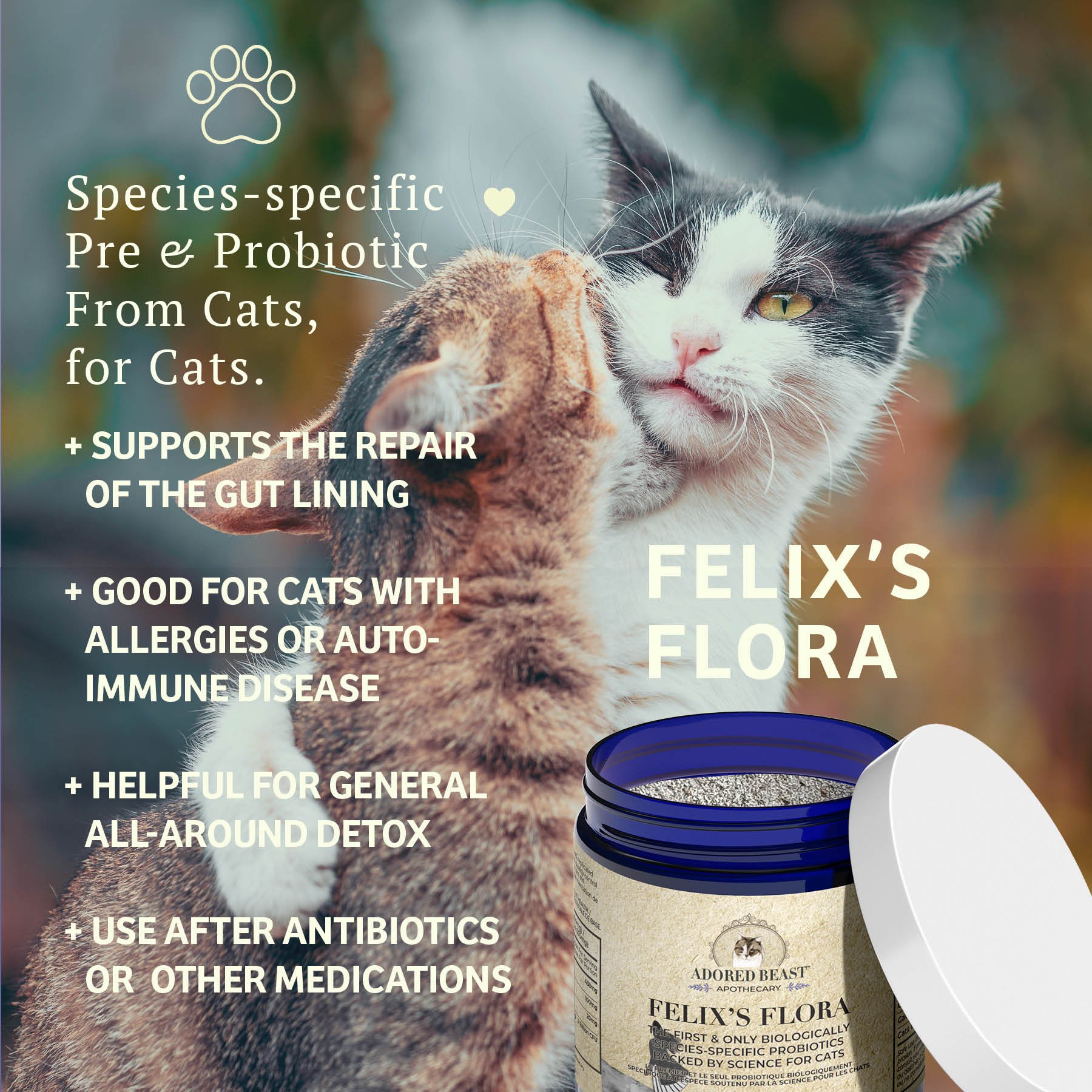 ABA Felixs Flora Informational 2 POST.jpg