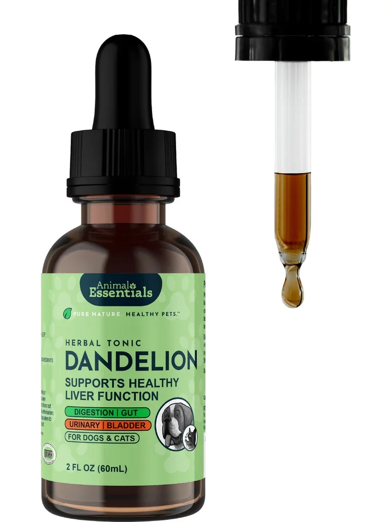 AE Dandelion Herbal Tonic (2oz)