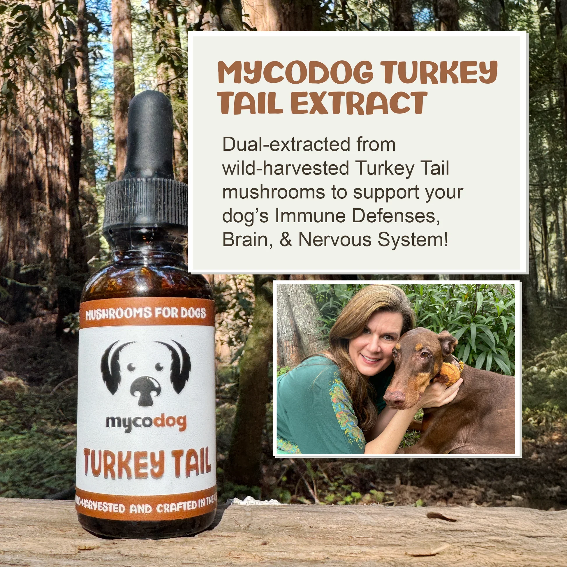 mycodog-turkey-tail-mushroom-tincture-bottle-1.webp