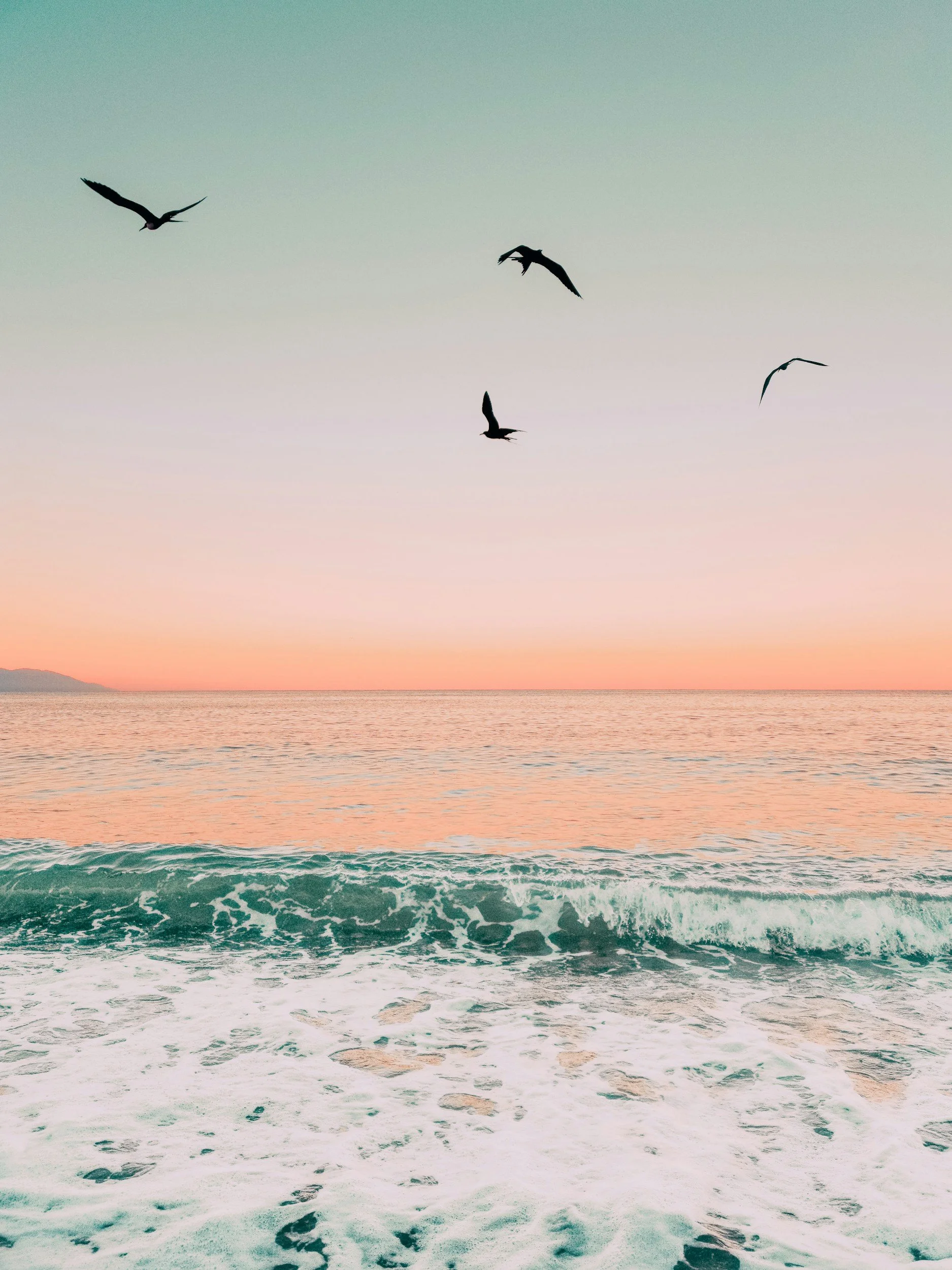 A sunset over the ocean with waves crashing on the shore and five birds flying in the sky.