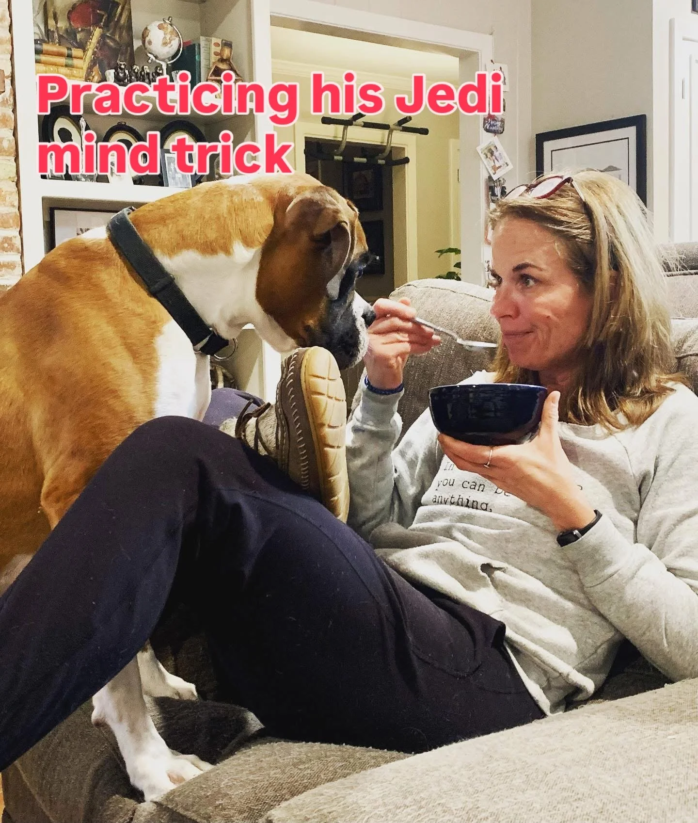 #boxerdog #feedme #dogsofinstagram #dogmomlife