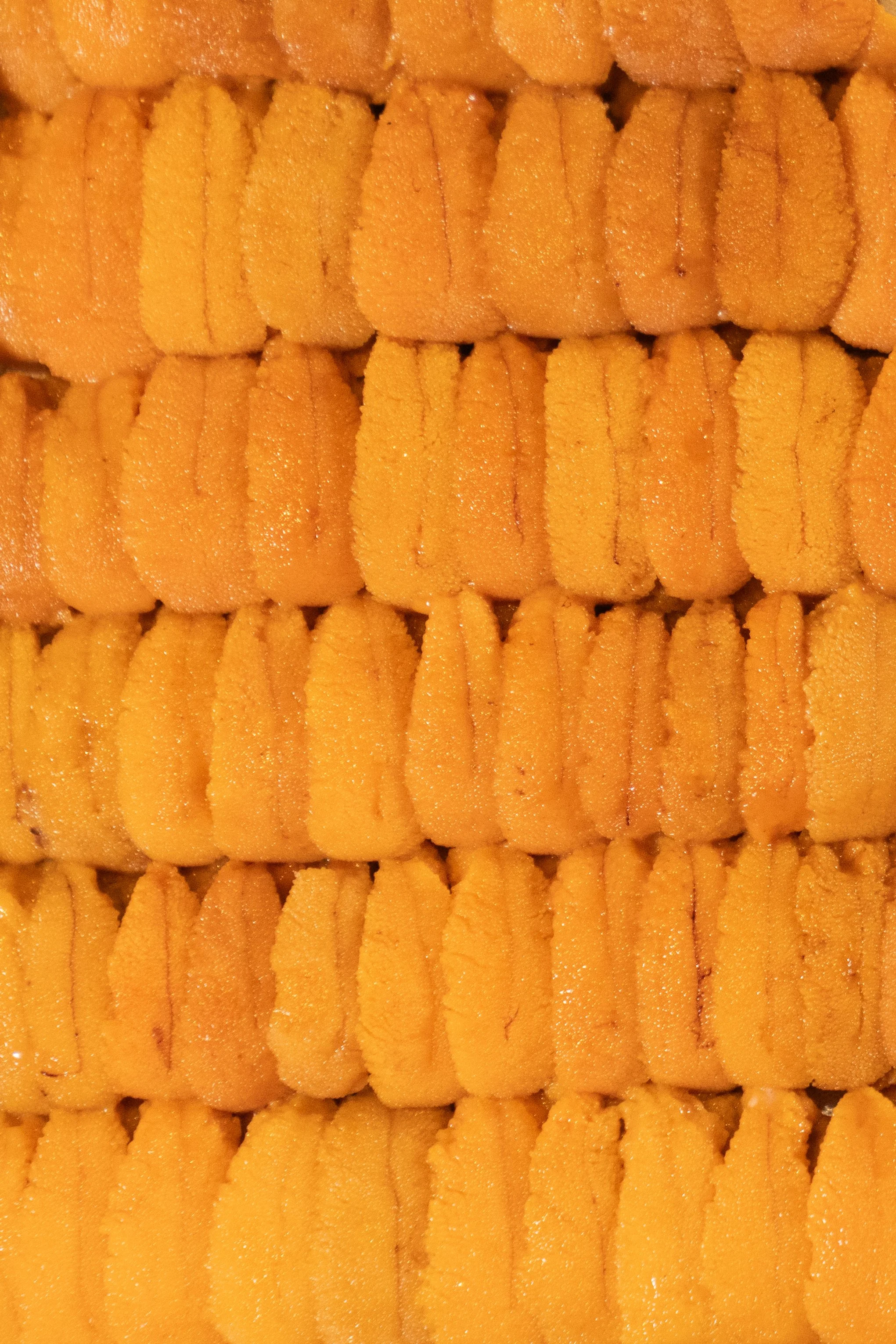 Uni (Credit Ran Duan)2.jpg