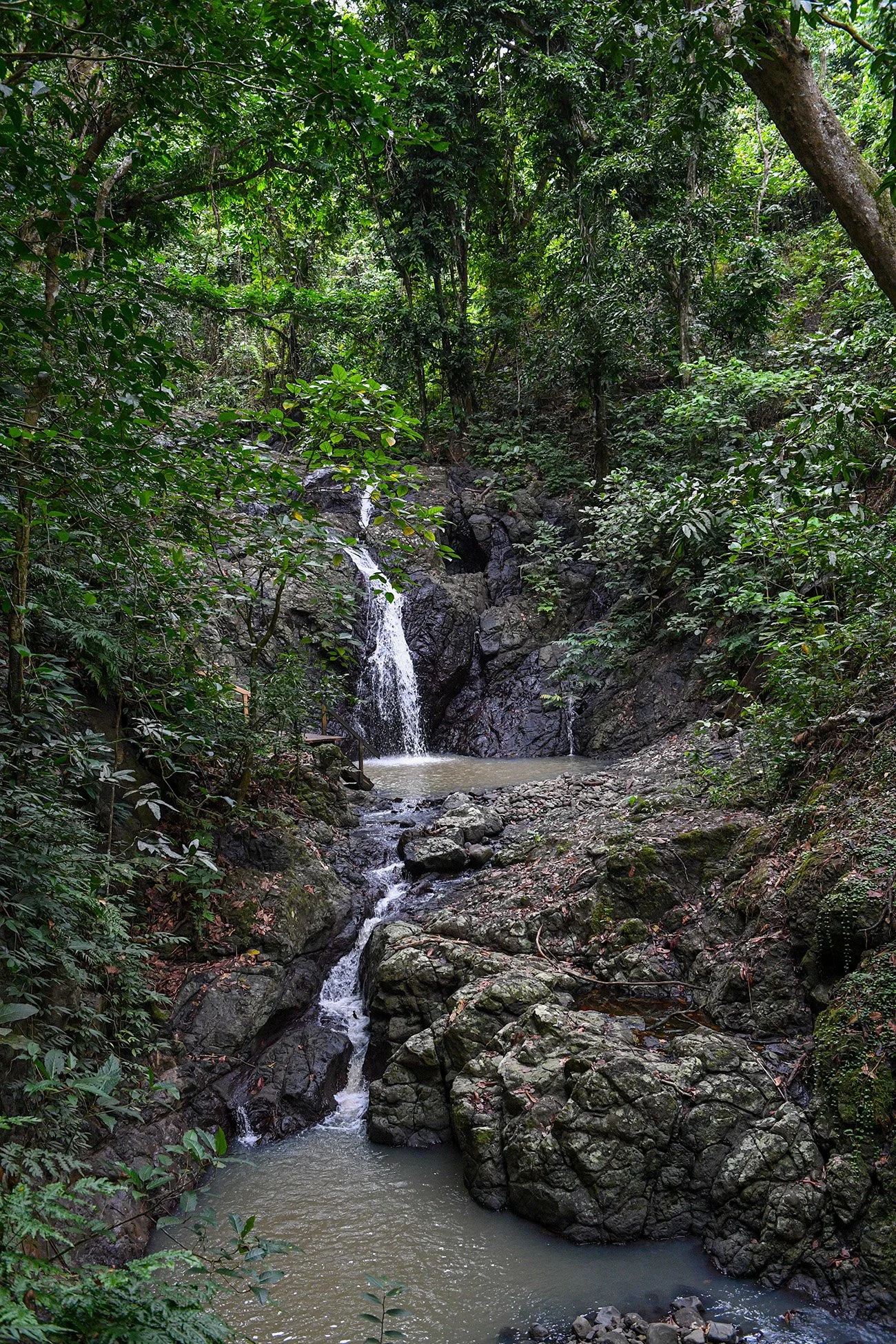 CRW_7069.jpg