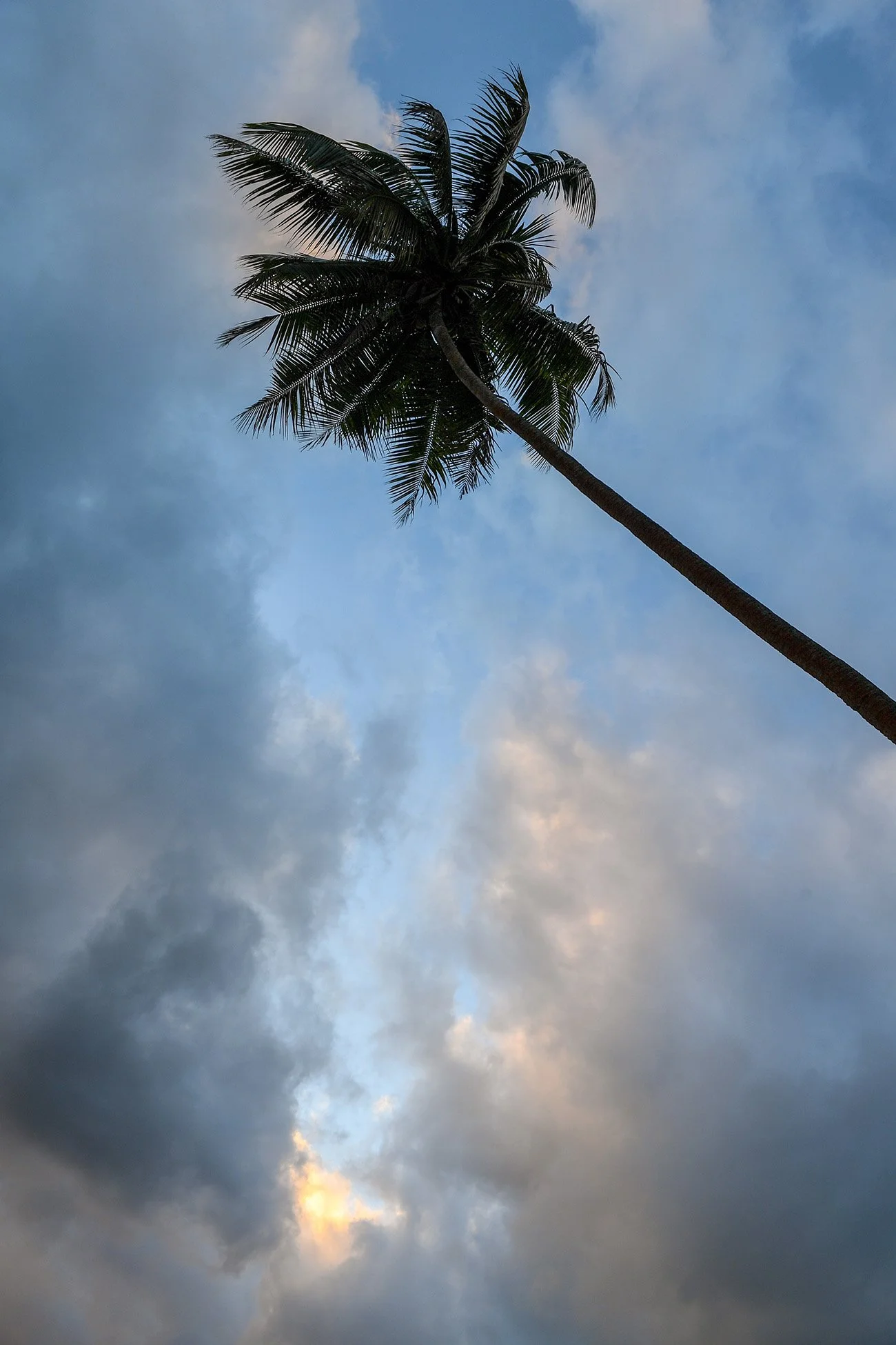 CRW_7483.jpg