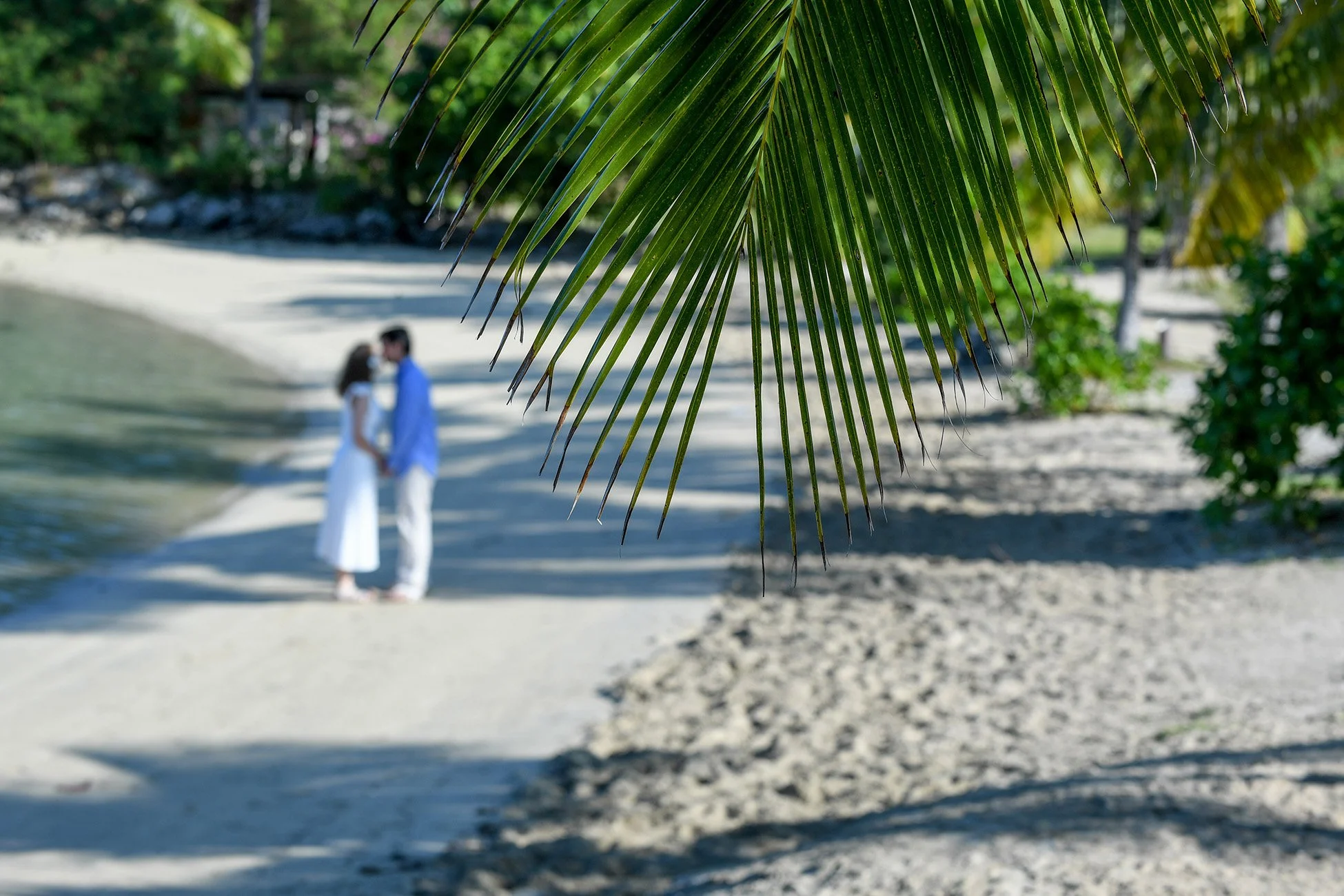 HML_5374.jpg