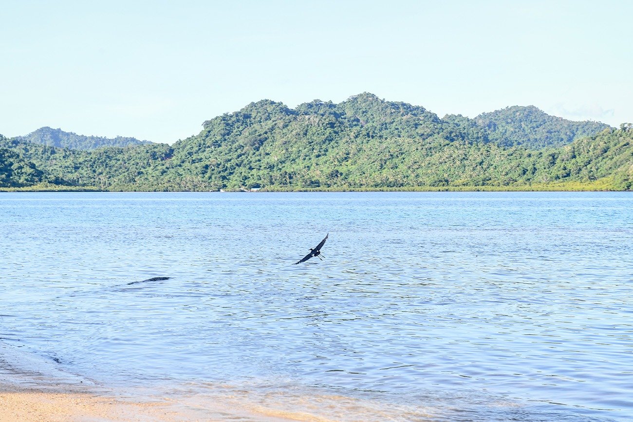 WTM_5996.jpg