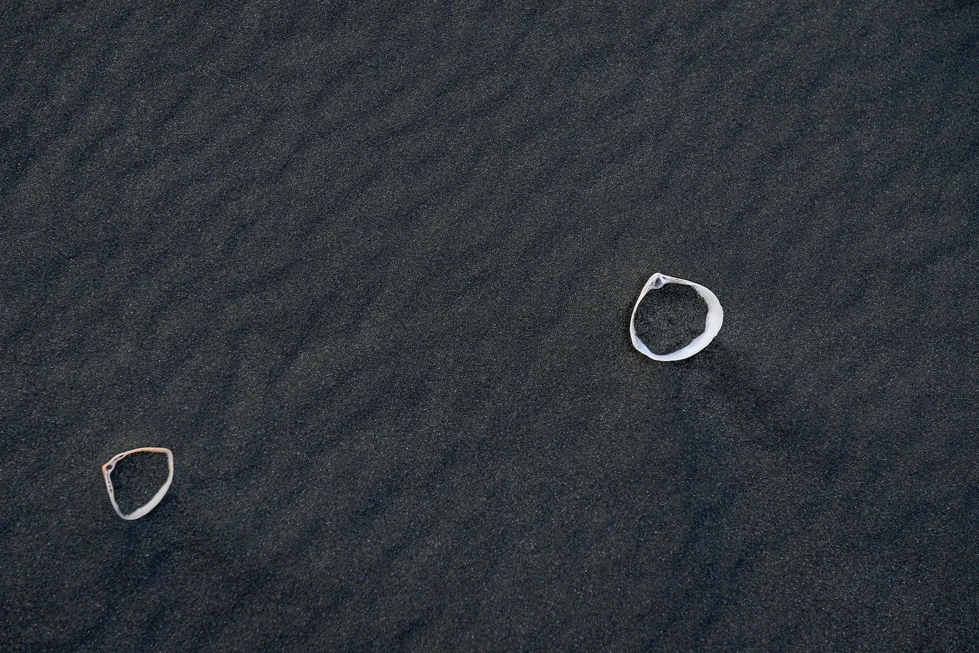 ARC_8363.jpg