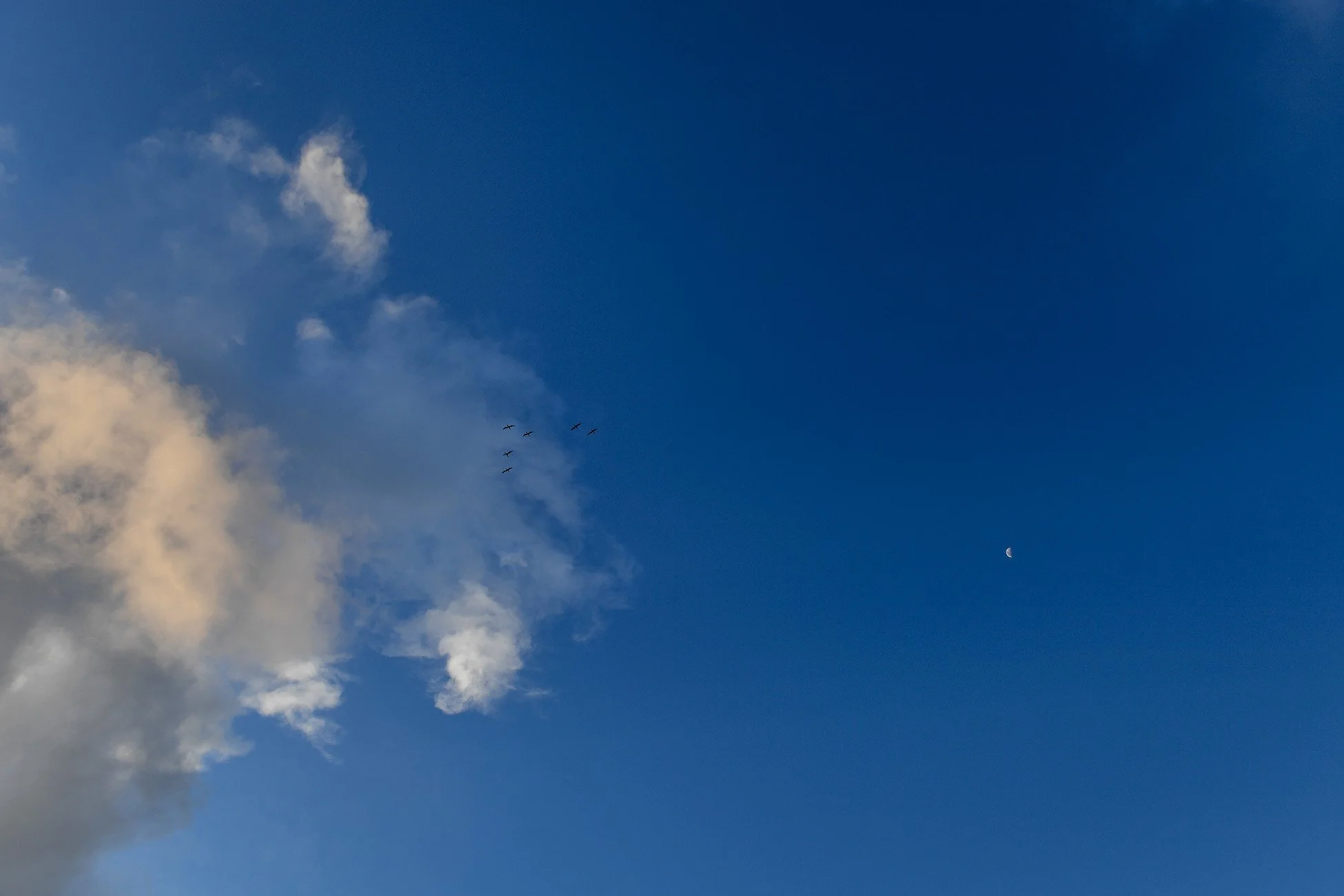 ARC_8479.jpg