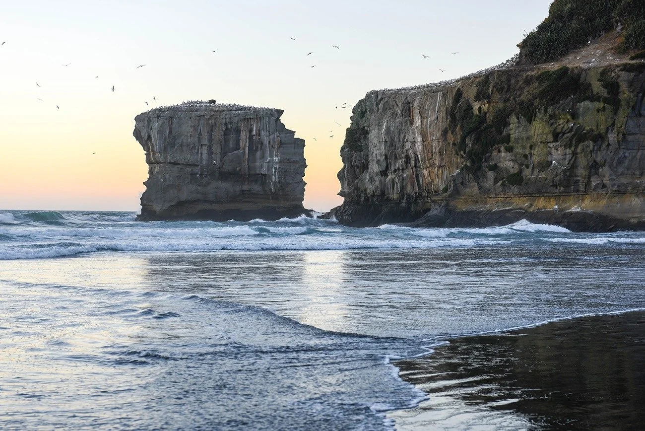DSC_1621.jpg