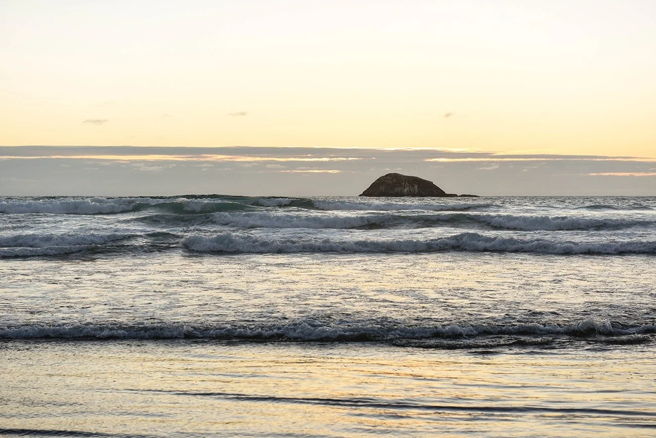 DSC_1623.jpg