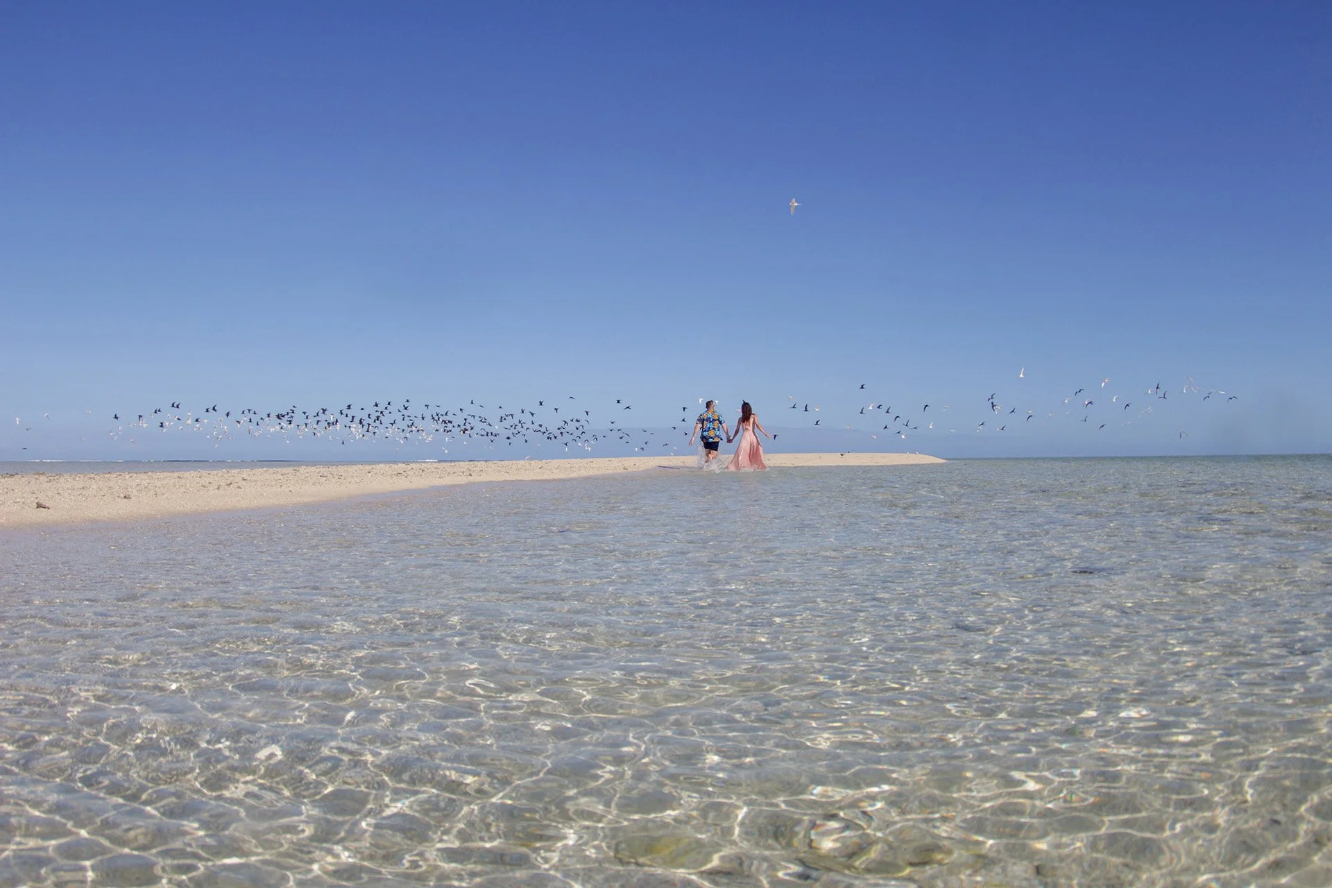 An Epic Underwater Couple Session at Momi Bay Sand Bar, Fiji