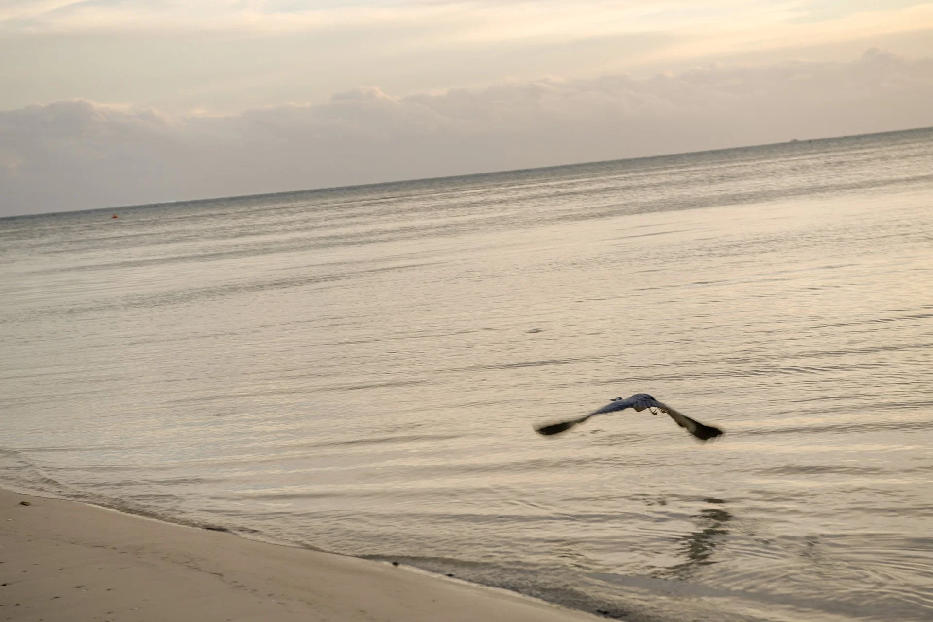 HSW_9729.jpg