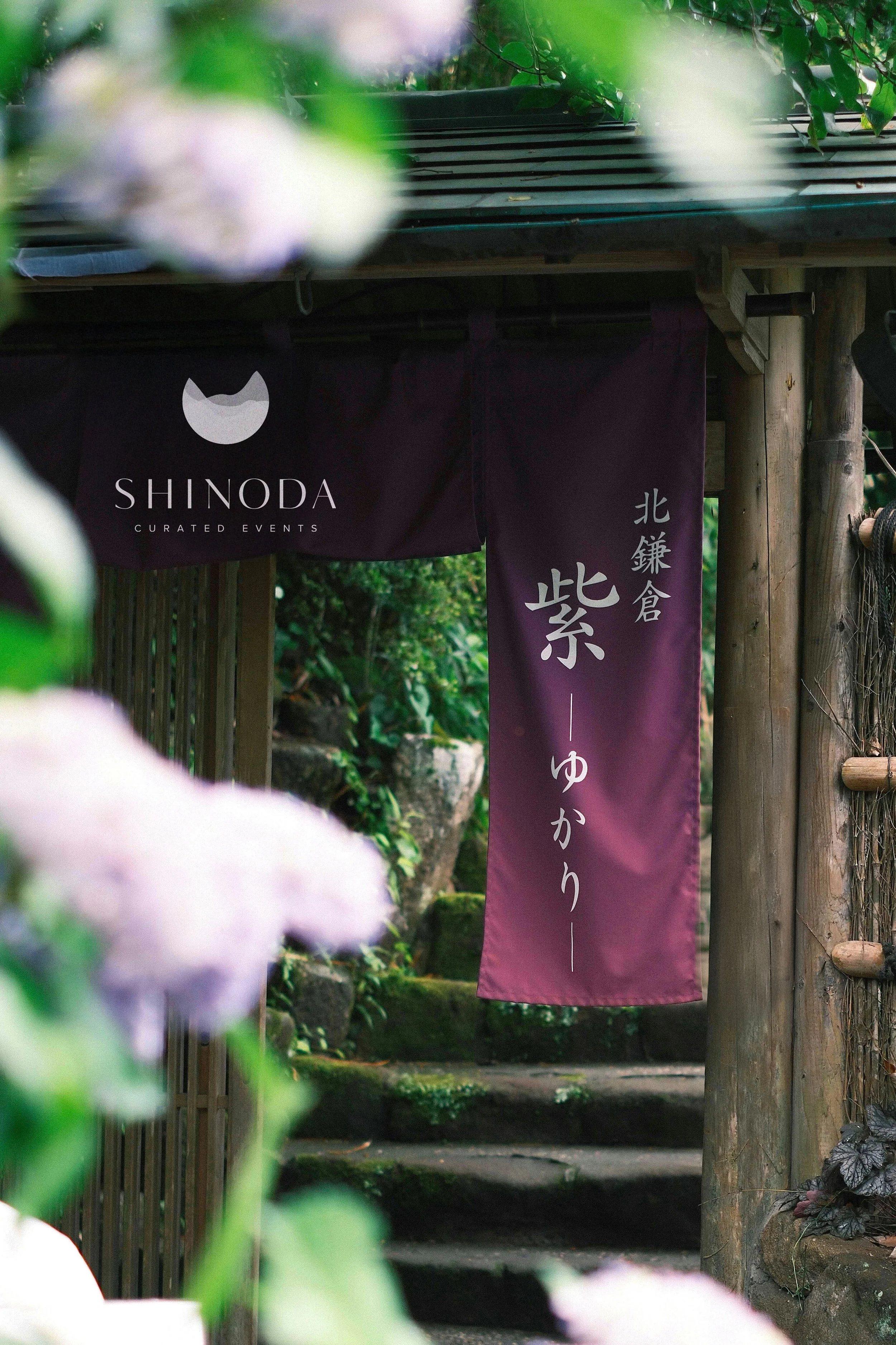 purplebranded openig.jpg