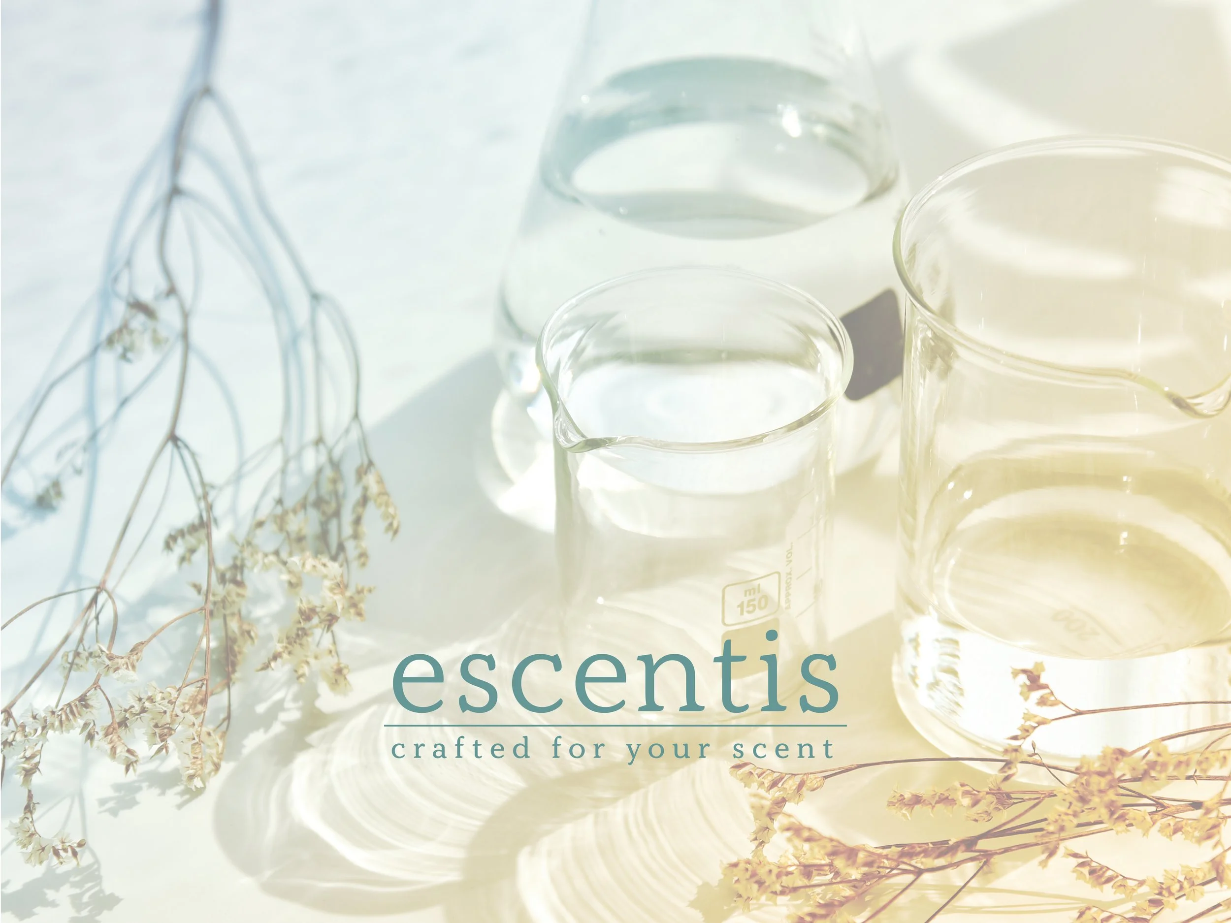 escentis first page.jpg