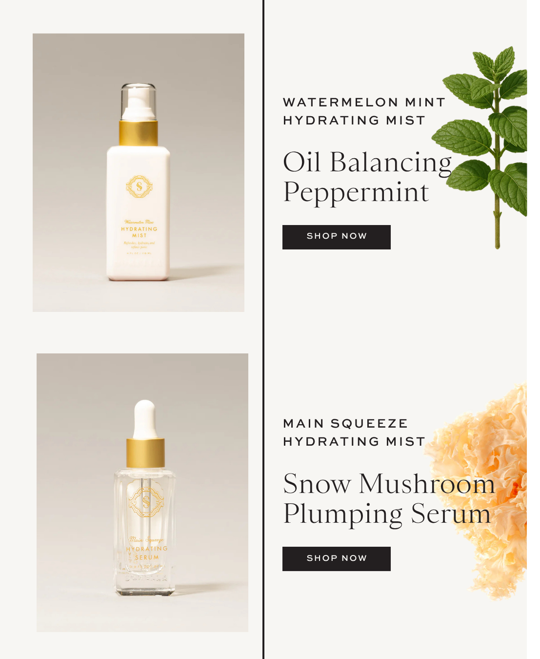 Email Boxes 2025 (2).png