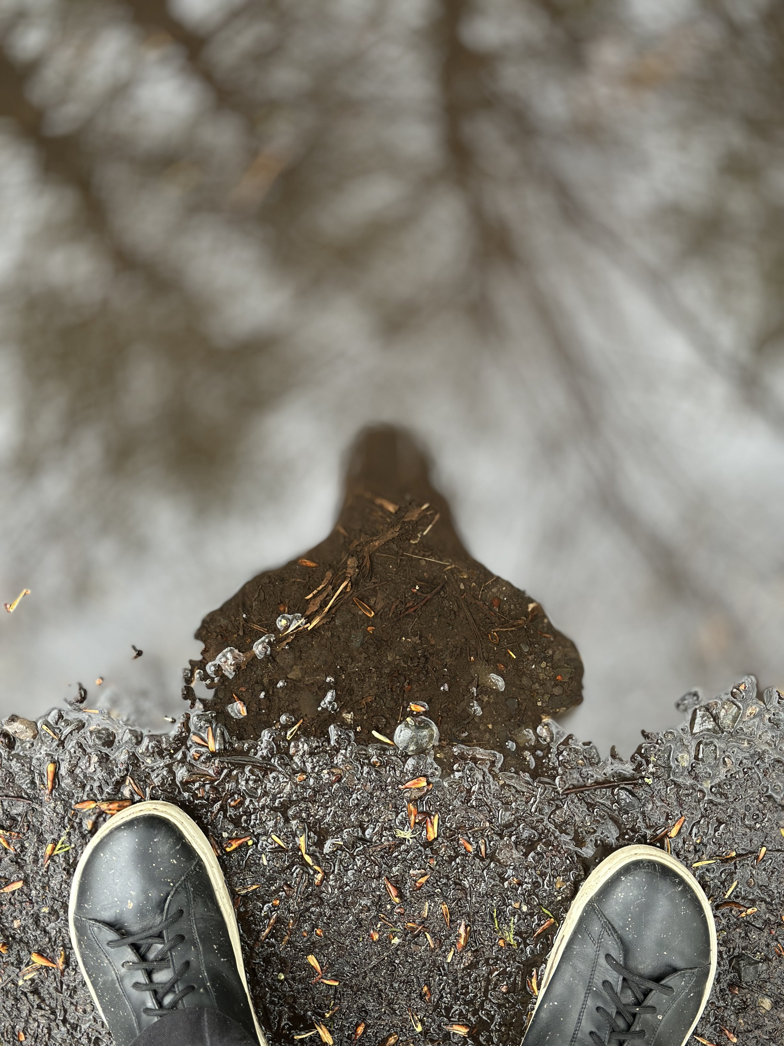 Accessing Inner Wisdom Through ART: Eye Movements, Metaphor, and Trauma Recovery