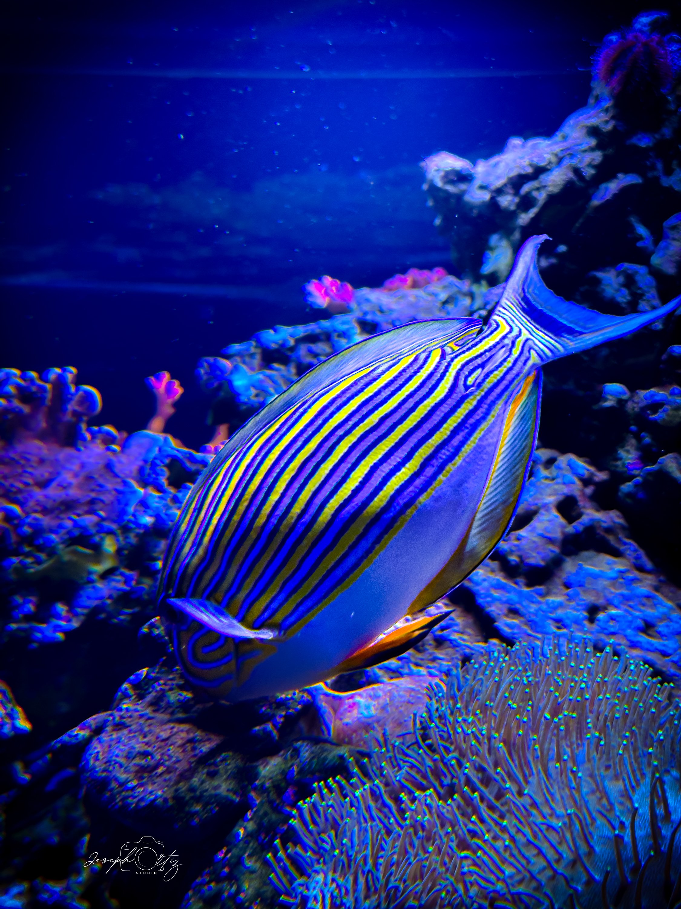 untitled-50.jpg
