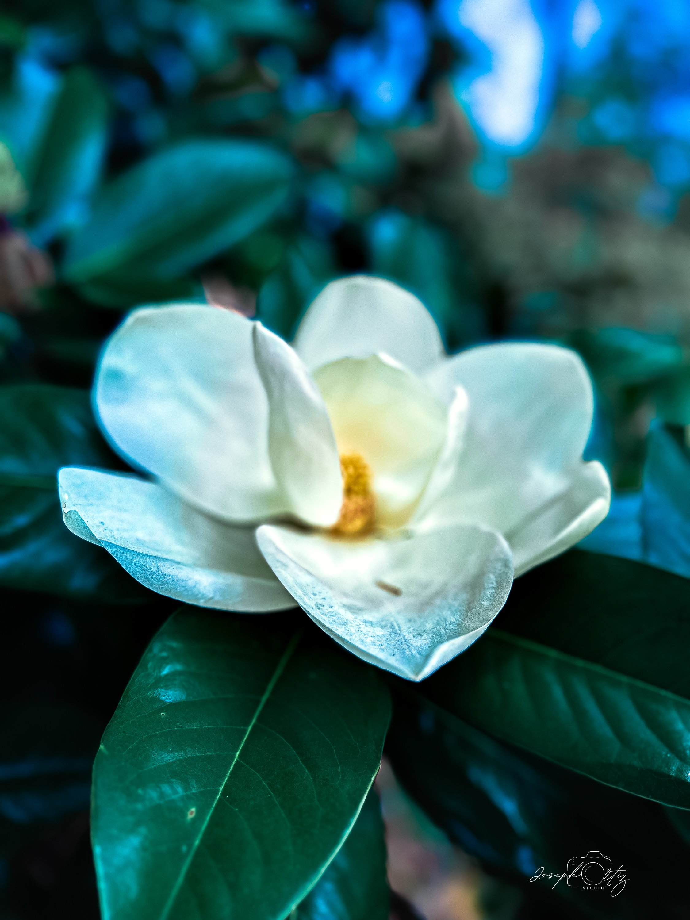 untitled-3.jpg