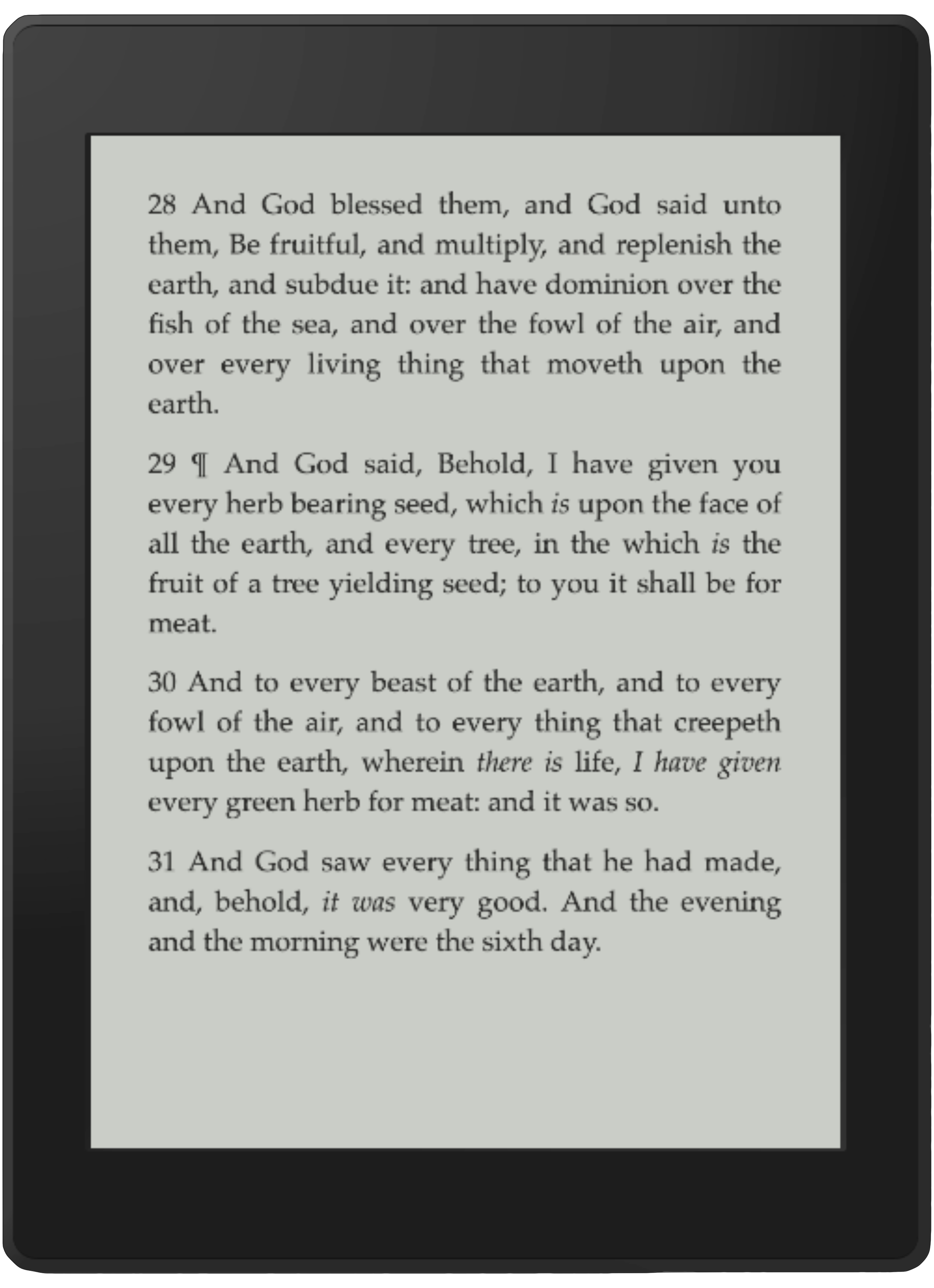 ekdia template ereader-7.png