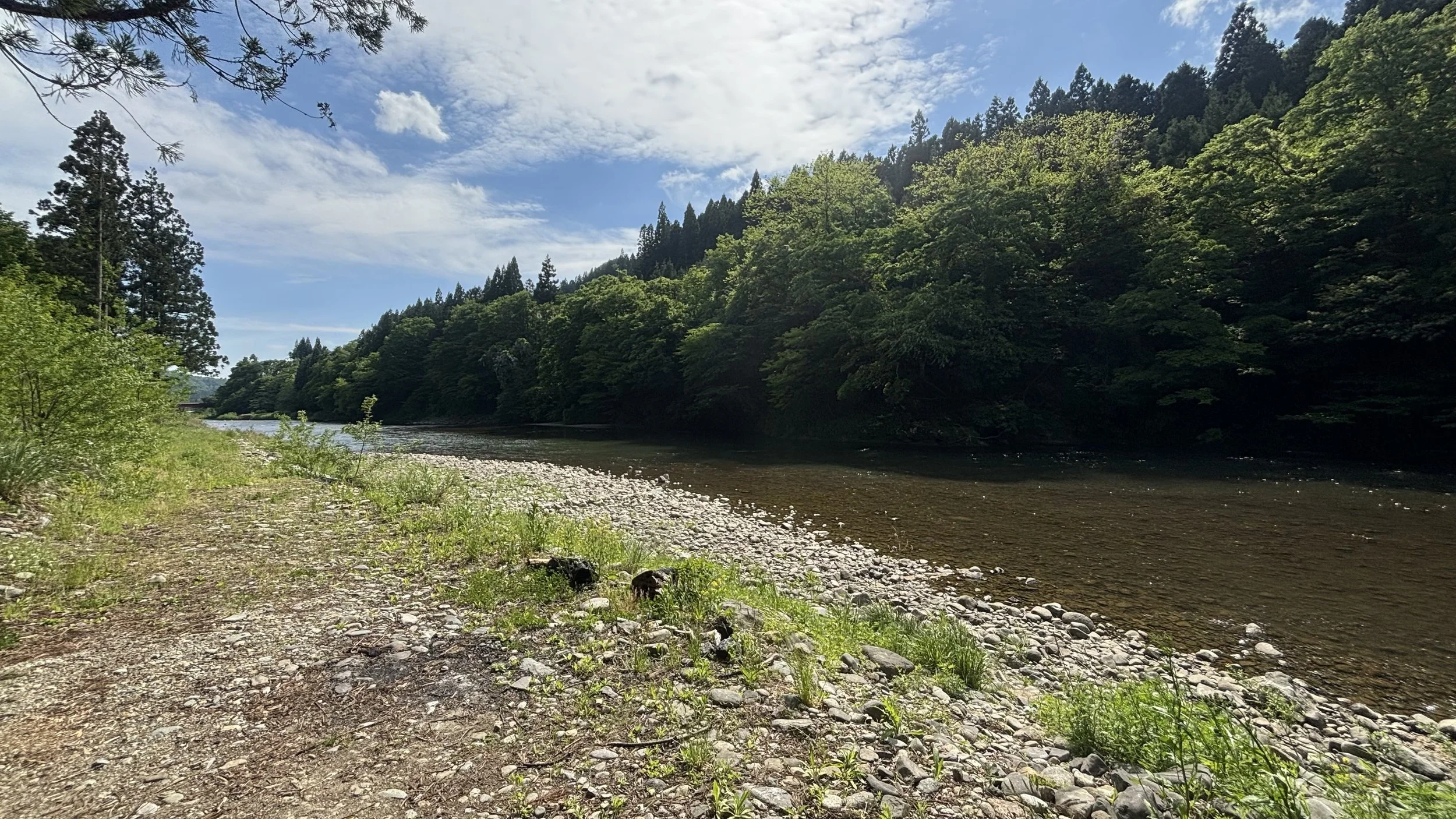 Riverbank with rocks and green vegetation, trees on a hill, blue sky with some clouds.