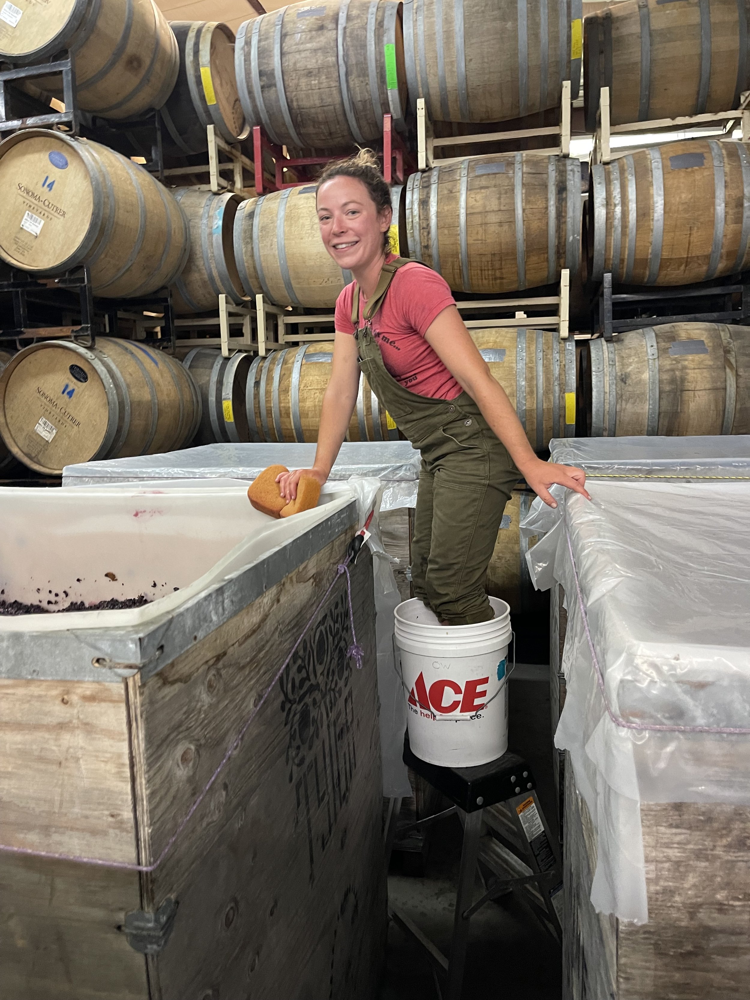 Person standing on a bucket while mixing grapes in a winery with barrels in the background.