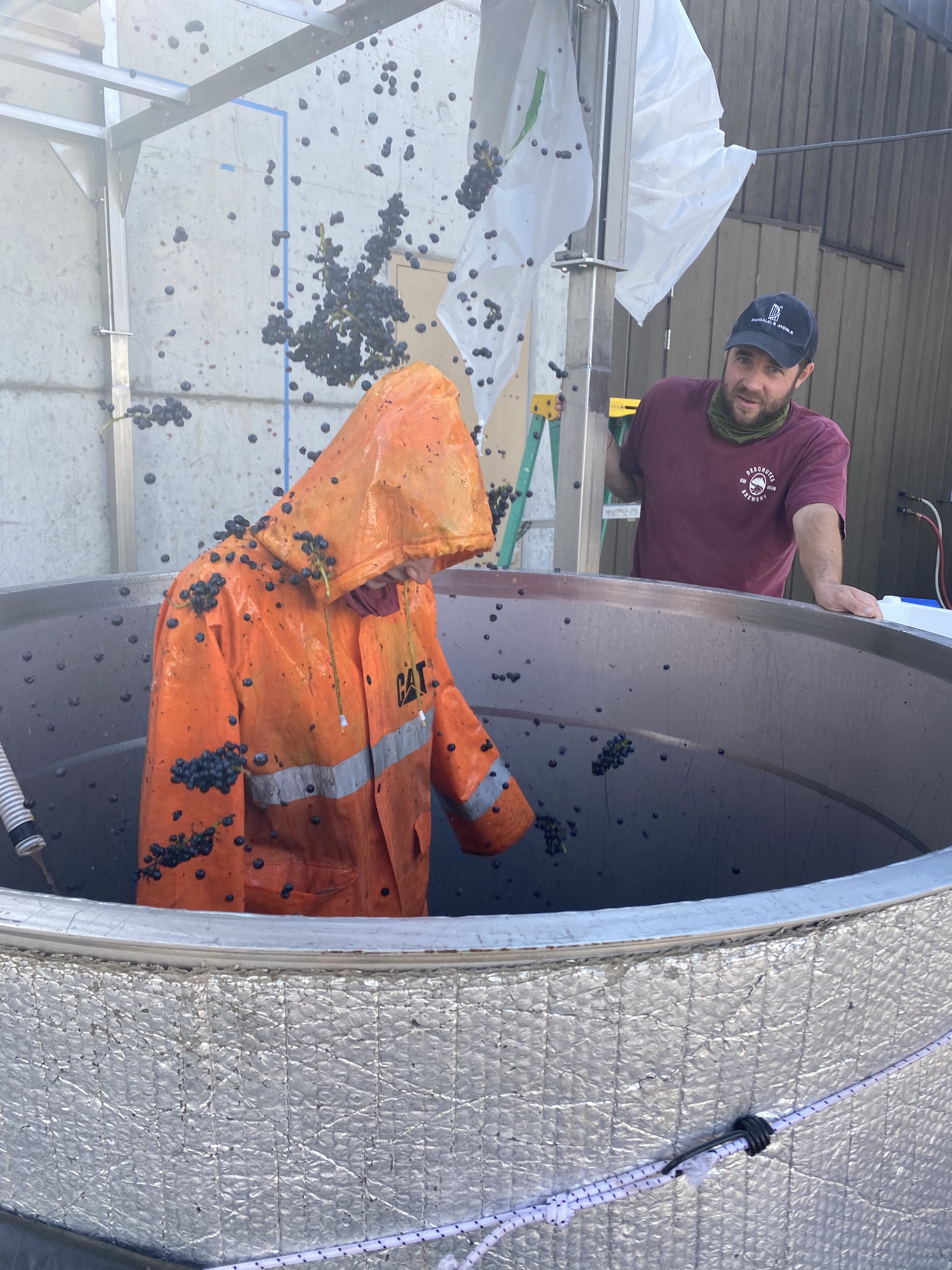 Person in orange raincoat with hood standing in a vat, surrounded by grapes, with another person watching, suggesting grape processing or winemaking.