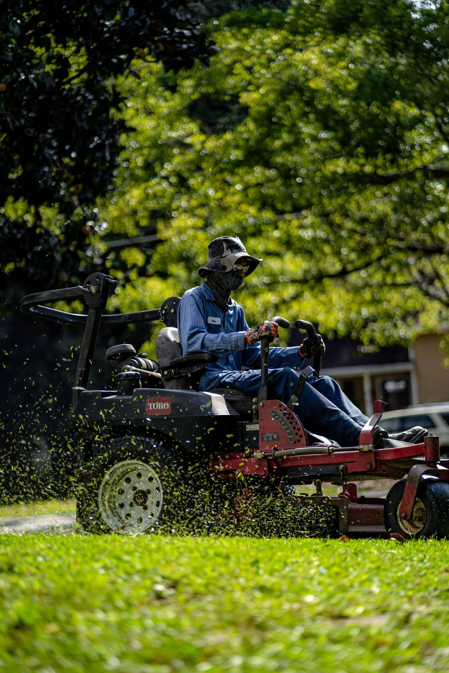 lawn.jpg