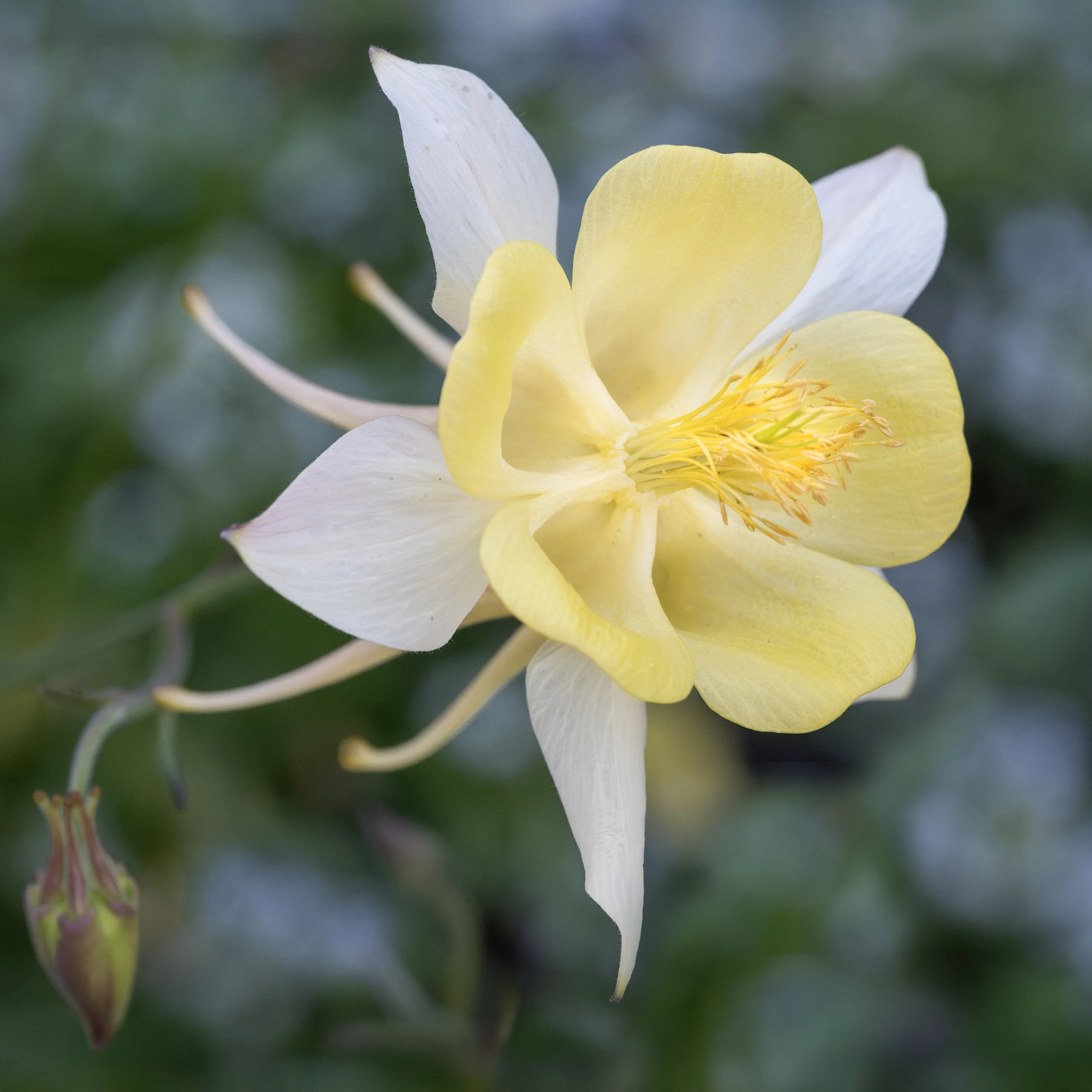 DSCF0878.jpg