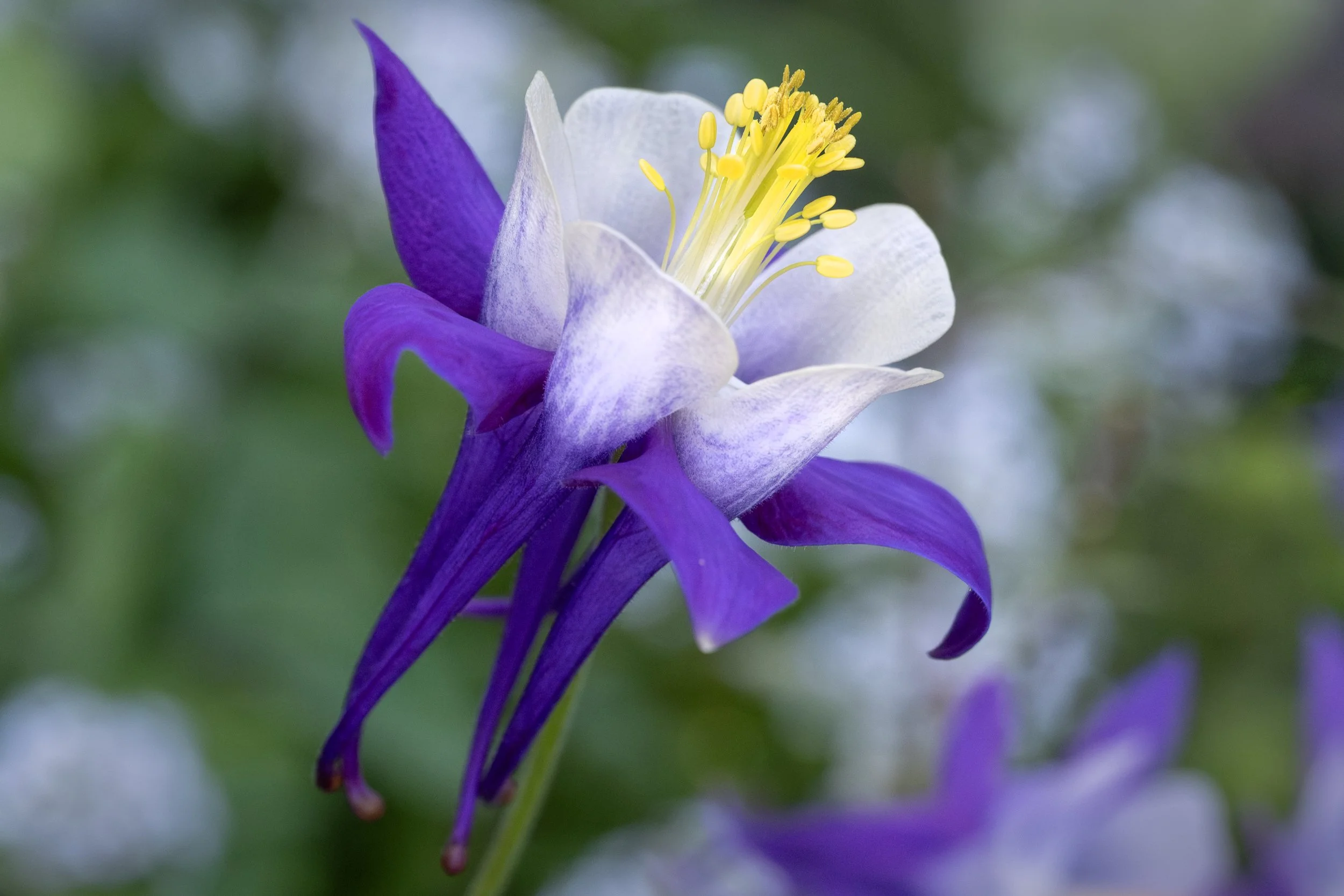 DSCF0879.jpg