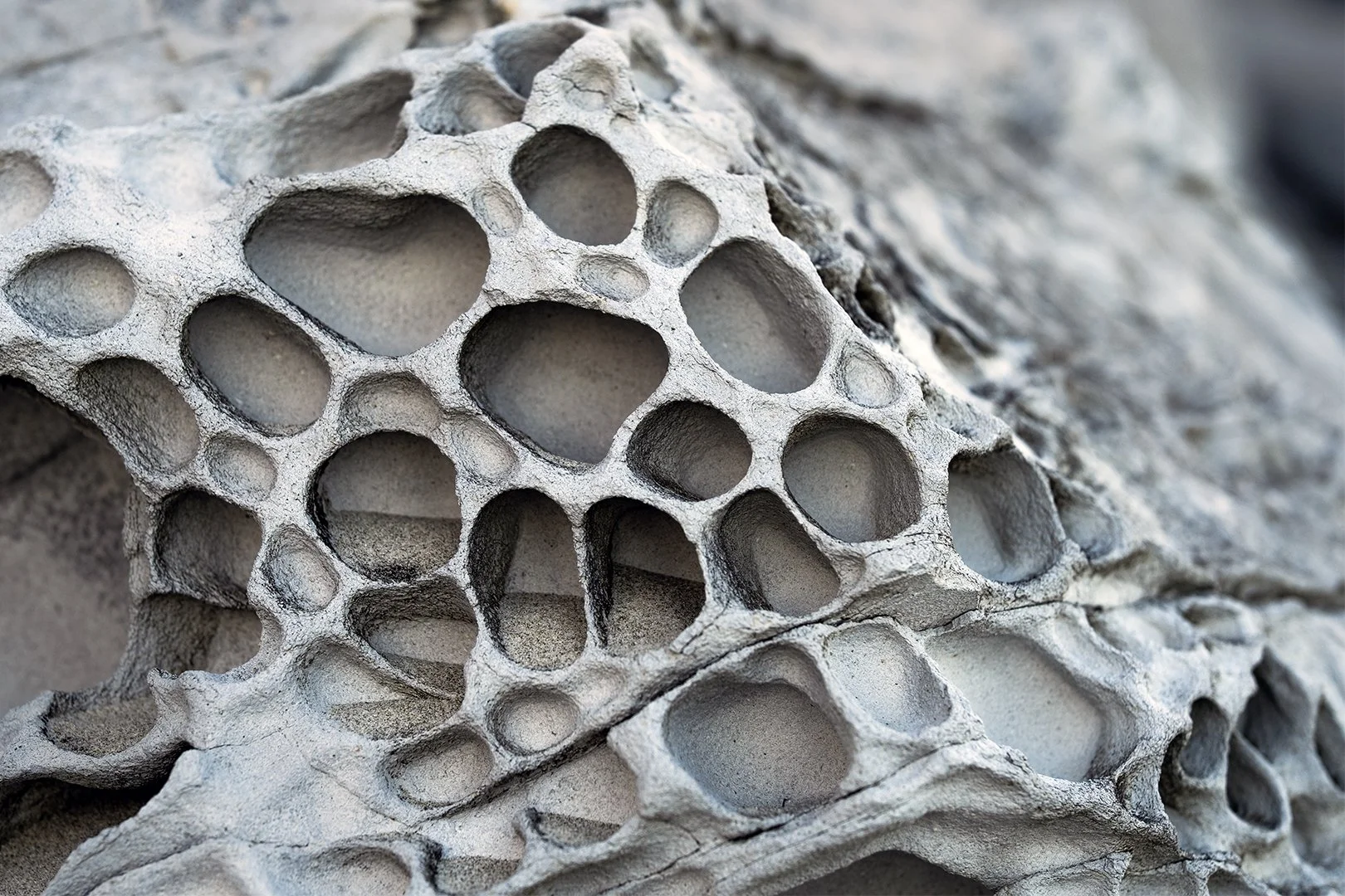 Holey Rock Digital Download