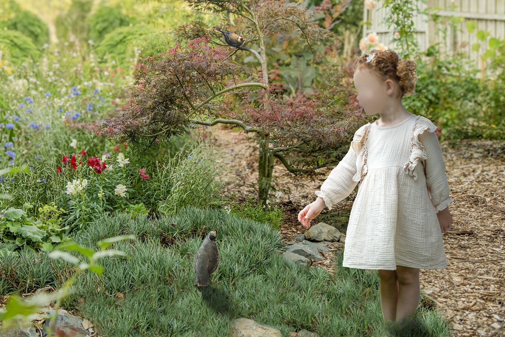 6. Birds in the Garden.jpg