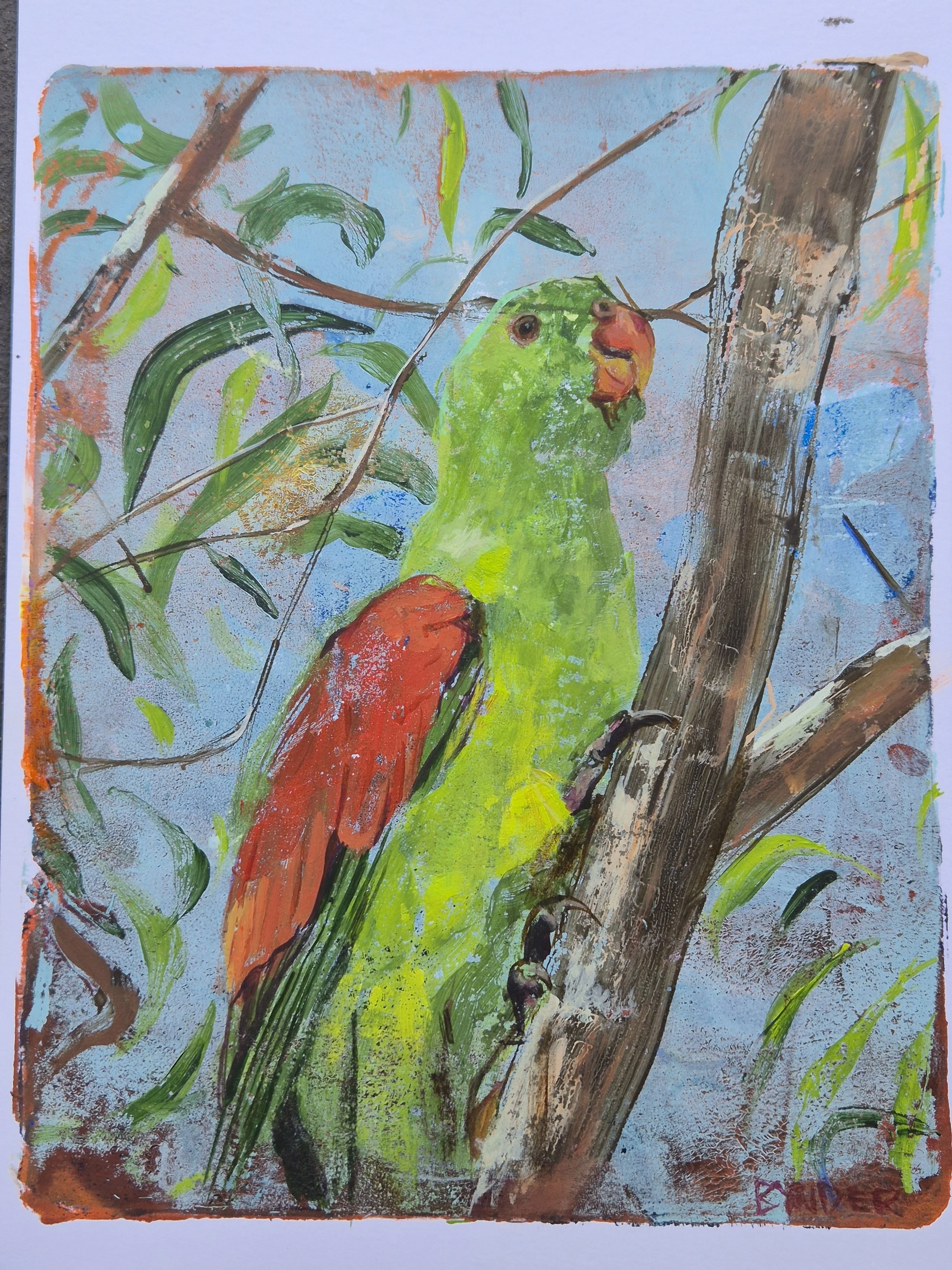 10.Green Parrot
Cassandra Bynder
25 x 29.5cm
Acrylic on Paper