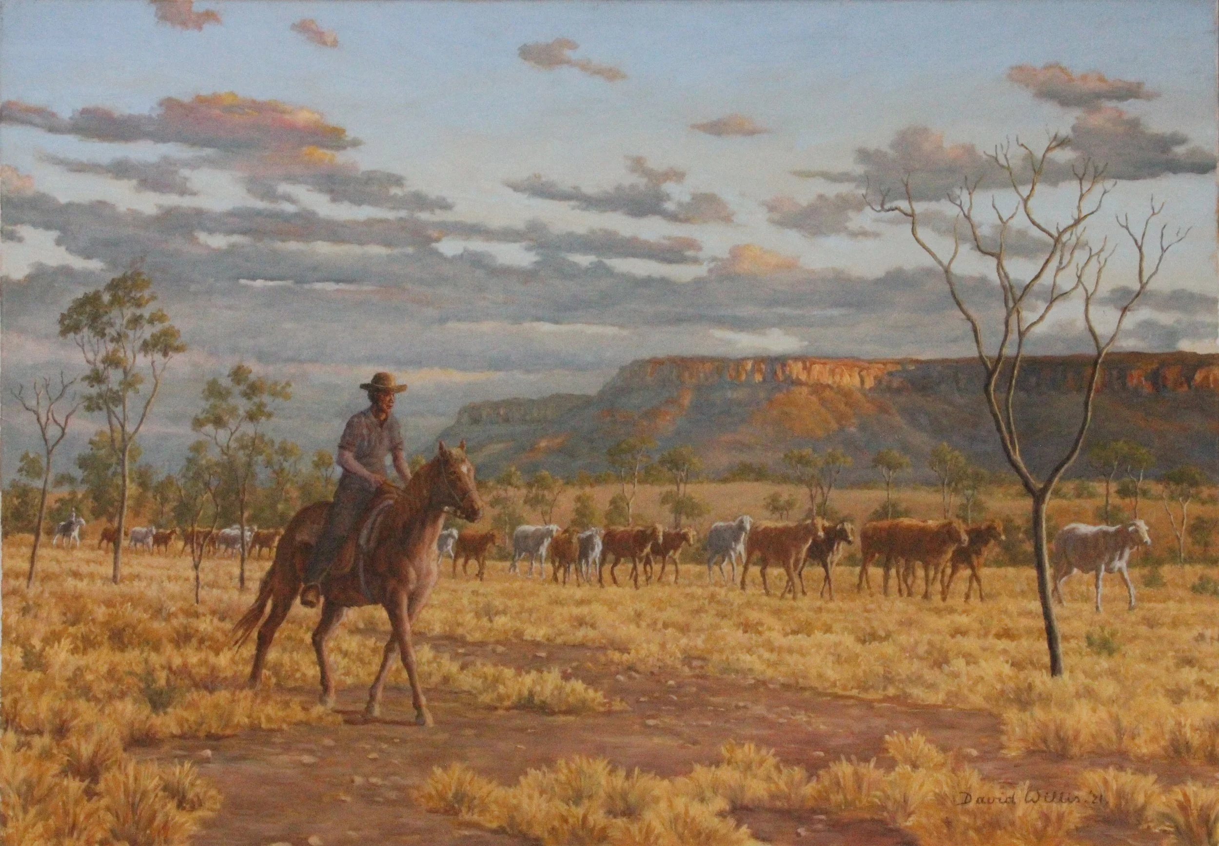 9 Droving by Cockburn range.jpg