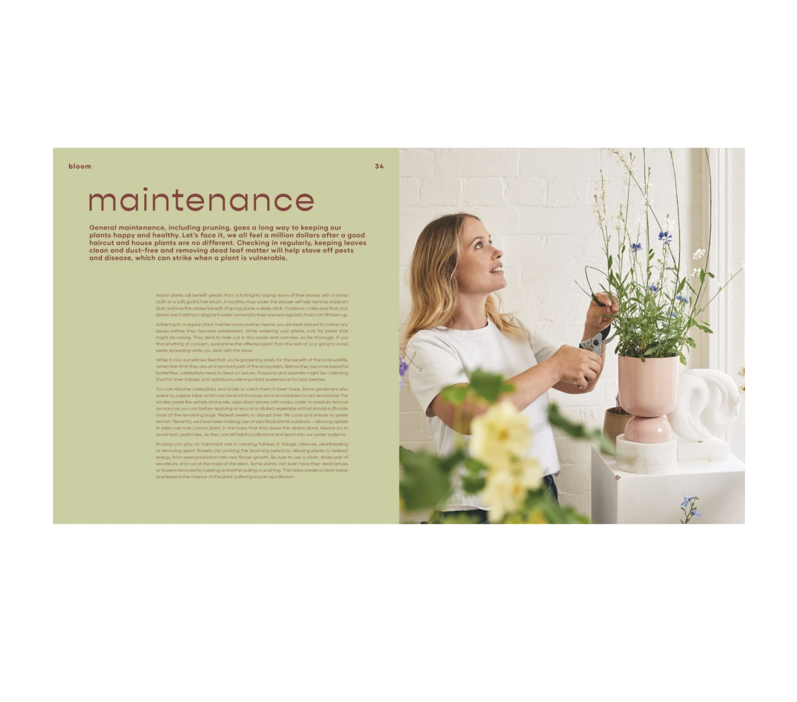 Screenshot 2026-02-23 at 10.37.59 am.png