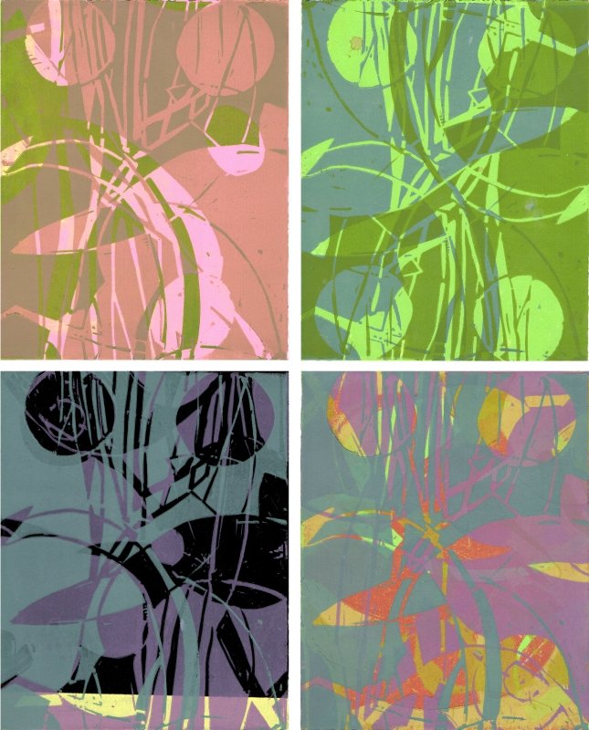 Savannah
Silk Screen and Reduction Lino Print on Fabriano 
53 x 65cm framed 
SOLD