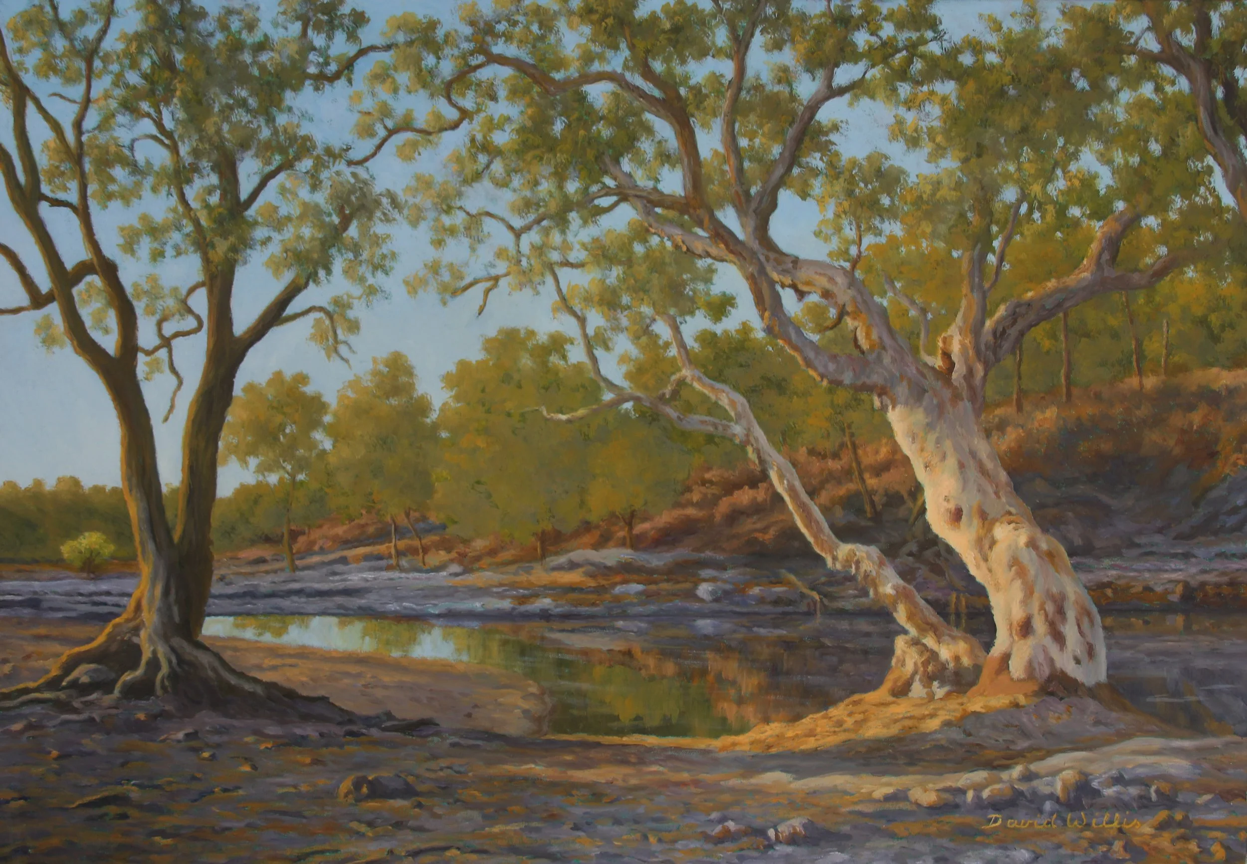 3. May River Gums
