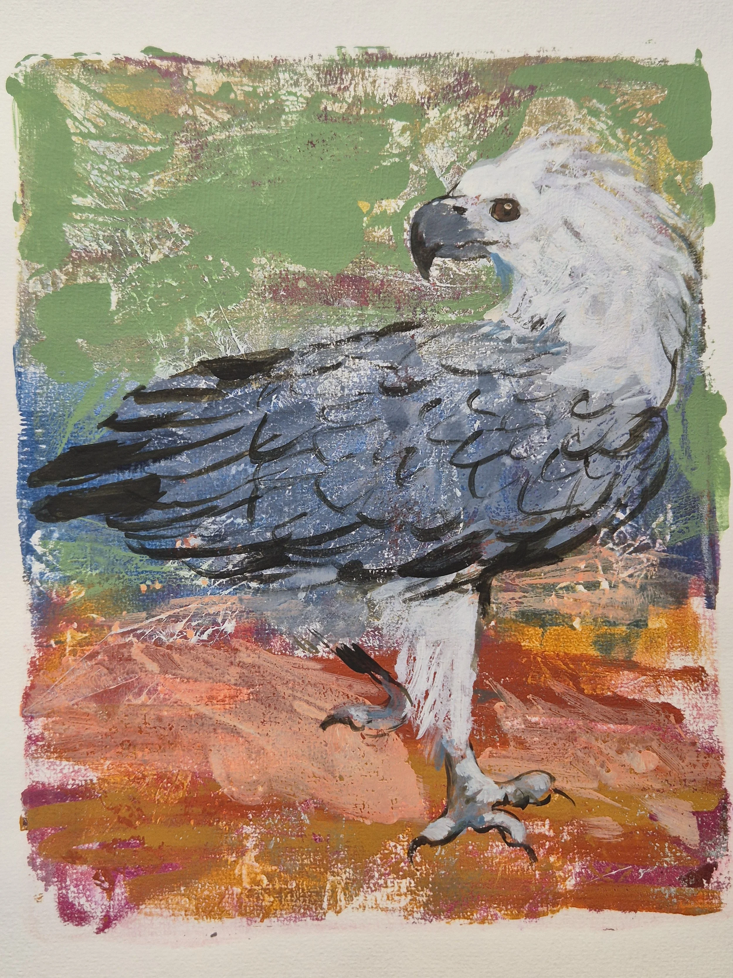 6. Sea Eagle
Cassandra Bynder
25 x 29.5cm
Acrylic on Paper
