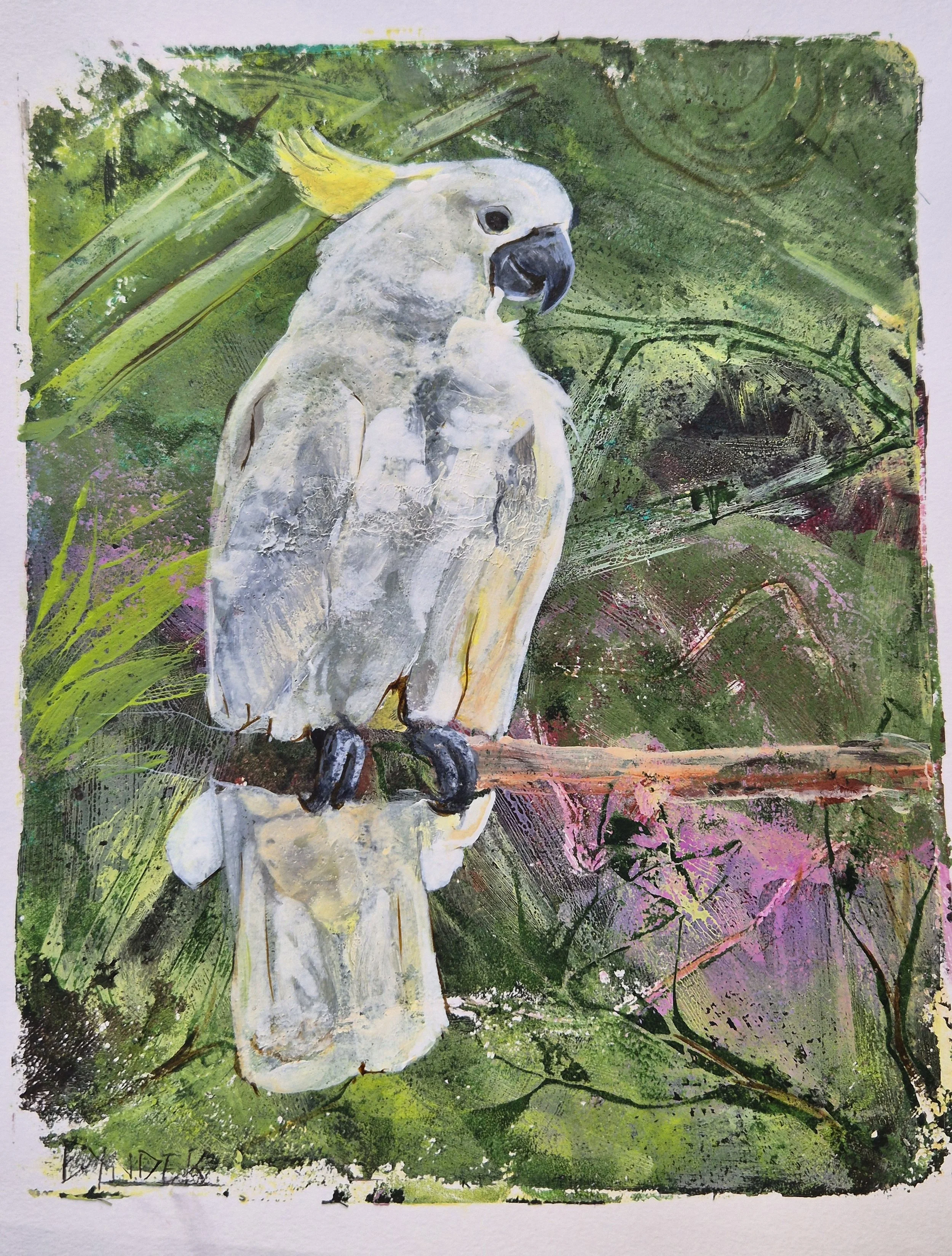 11. Cheeky Cocky
Cassandra Bynder
25 x 29.5cm
Acrylic on Paper