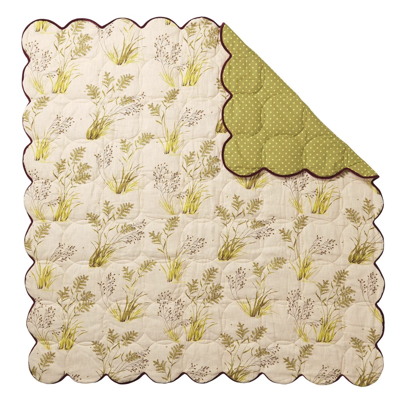 Screenshot 2026-02-02 at 12.43.53 pm.png