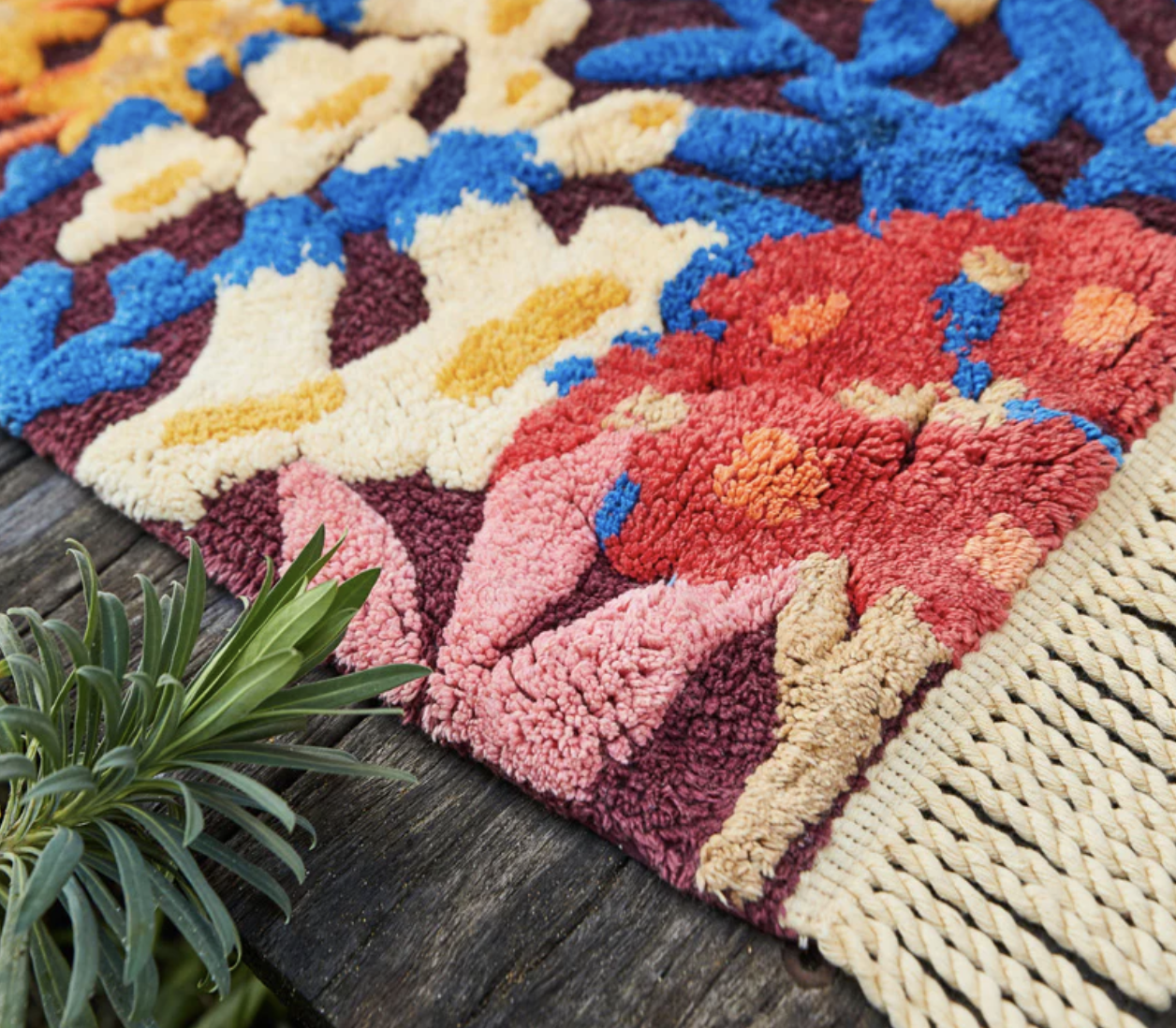 Screenshot 2026-02-09 at 11.38.11 am.png