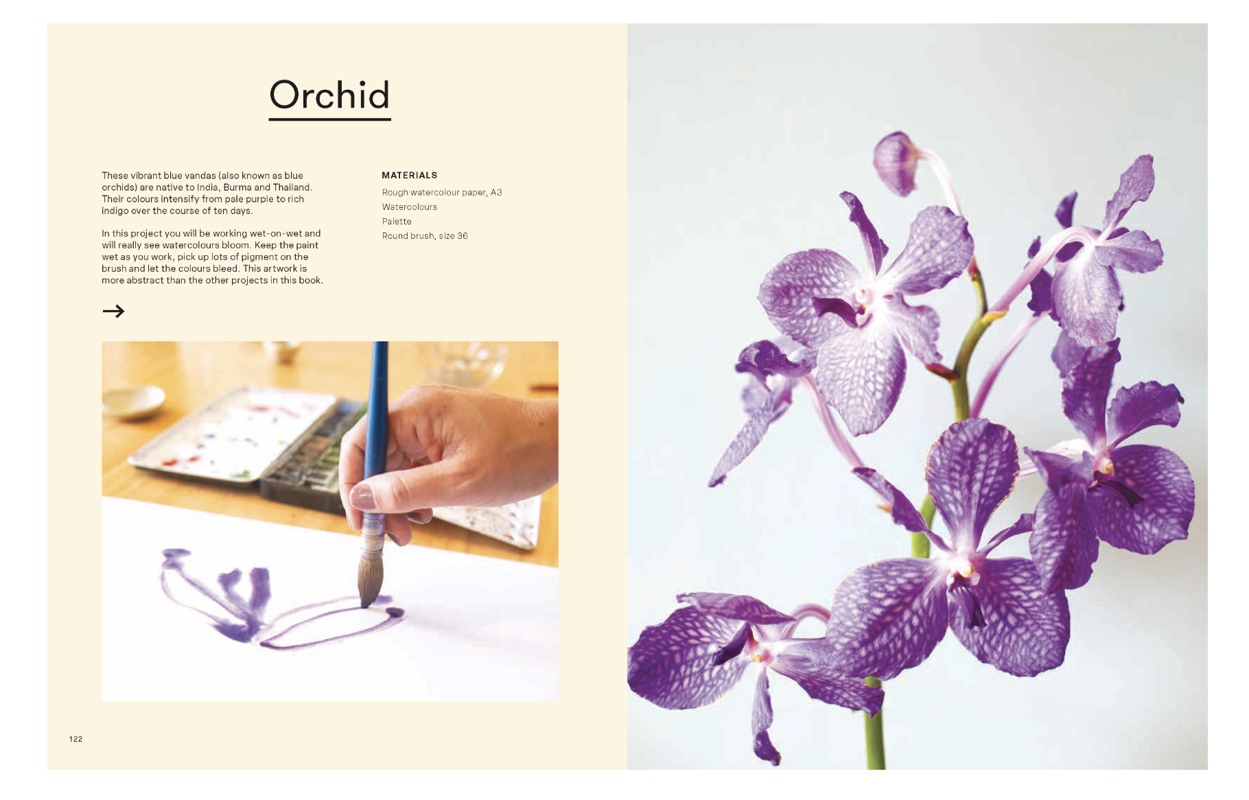 Screenshot 2026-02-23 at 10.41.59 am.png