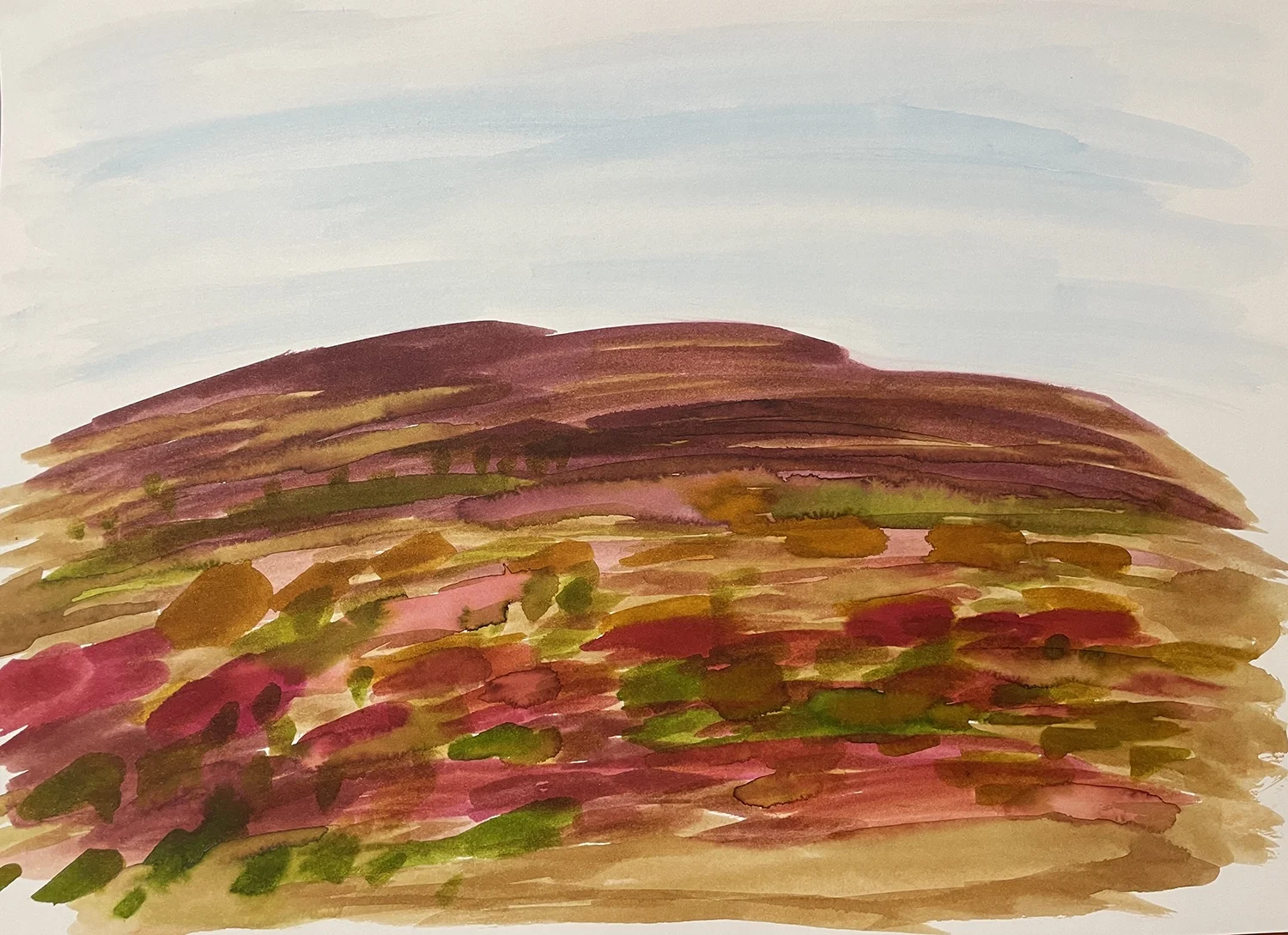 watercolour I .webp