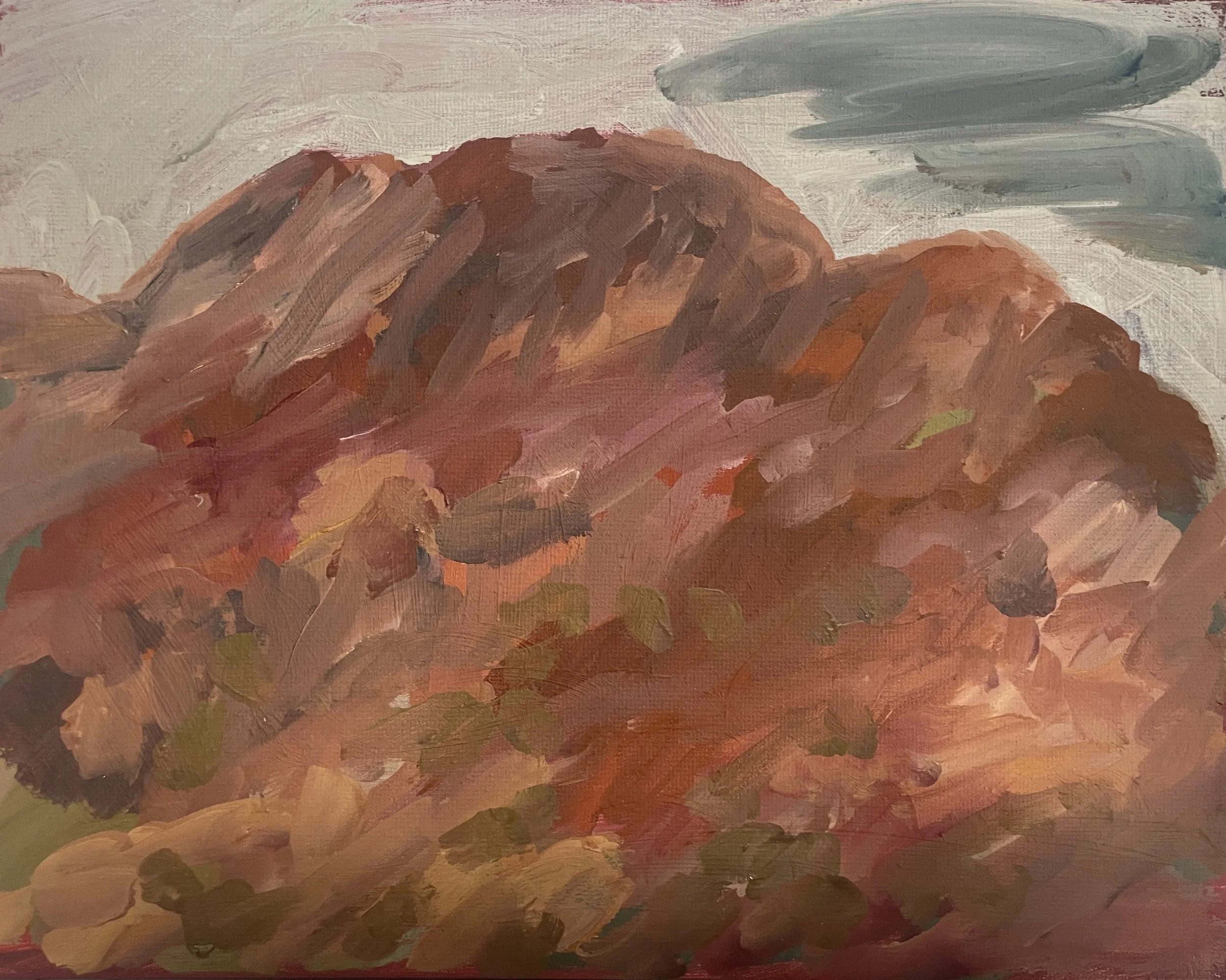 Last Light (III) - Oil on Canvas – 25.6 x 20.5cm - $180.jpeg