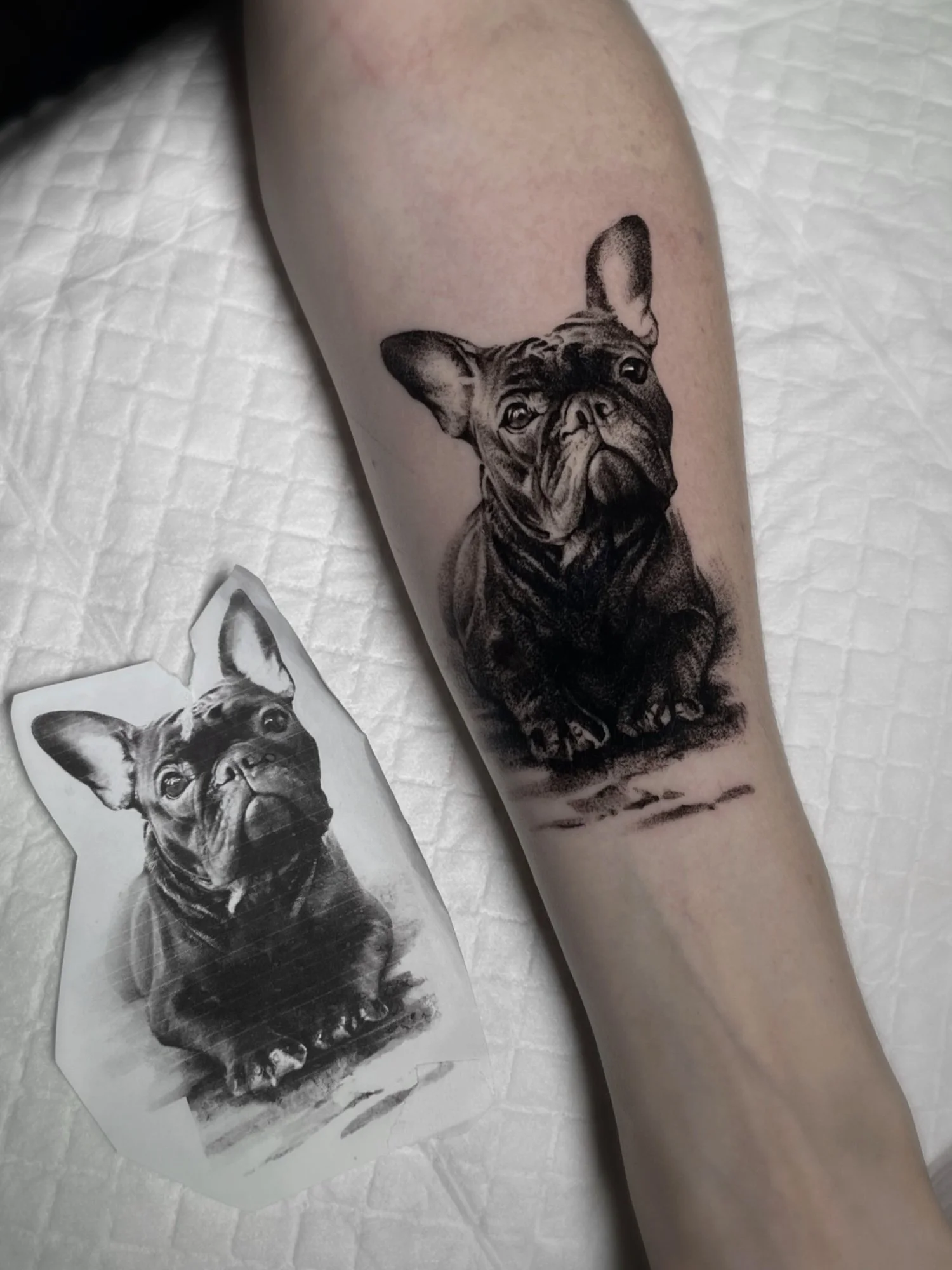 Black and gray tattoo of a French Bulldog on a person's arm, with a printed reference image of the same dog on paper nearby.