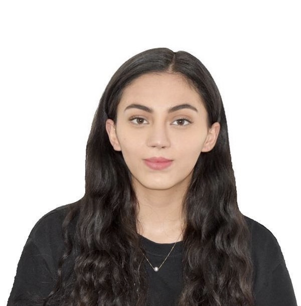 Captura+de+pantalla+2024-12-19+a+la(s)+5.26.03 p. m. (1).png