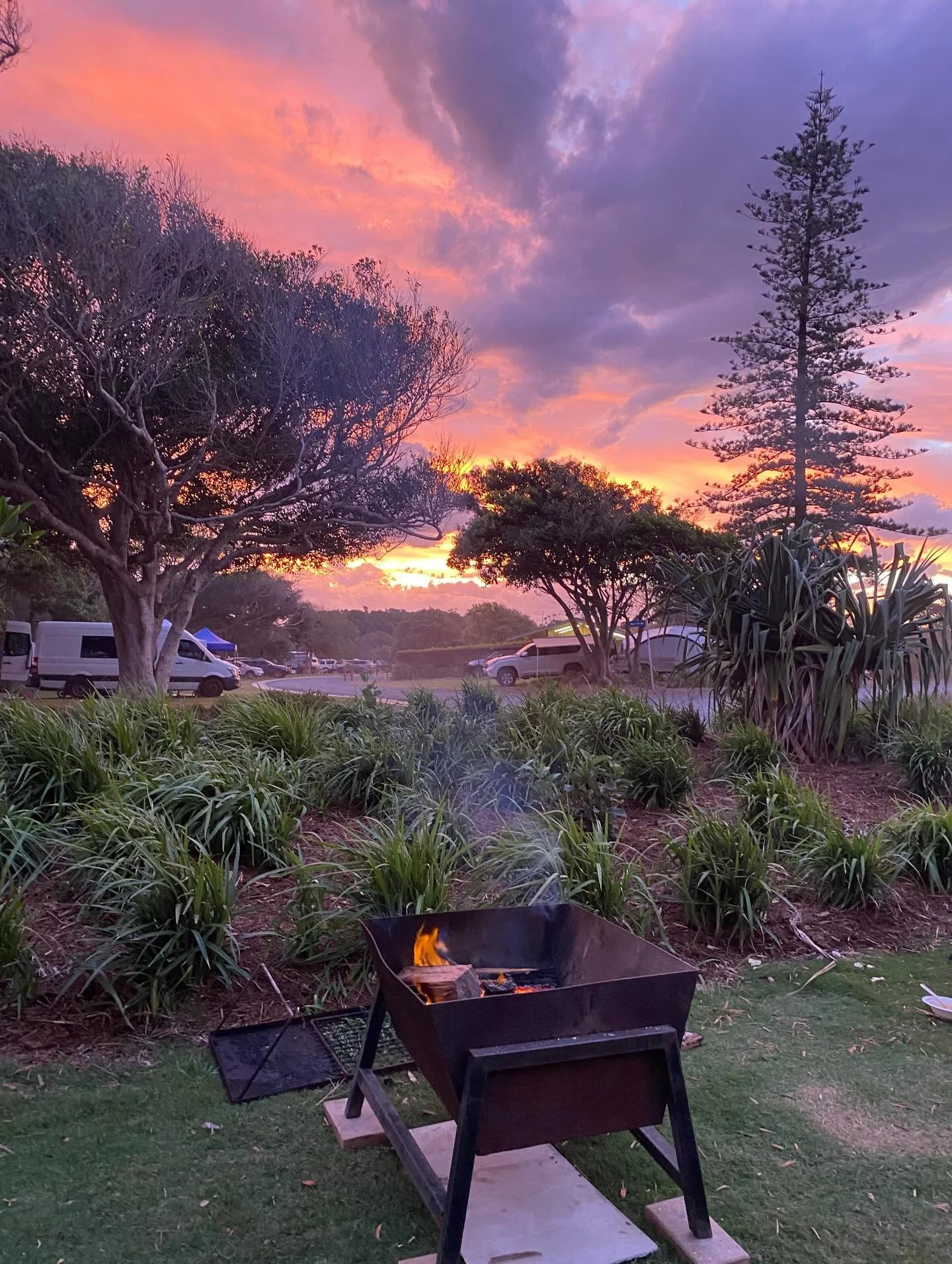 Slowing down, observing and counting my blessings. 💚 
New and exciting events are in the pipeline for 2026. ✨🌺💃