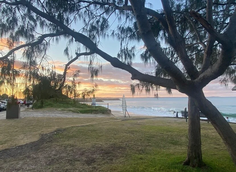 Embracing spring renewal vibes this week! 🧘&zwj;♀️💚☀️🌺
Tues 6am 
Wednesday 7pm 
Thursday 6am
@pcycportmacquarie 
#spring #portmacquariensw #yoga #privateyogateacher