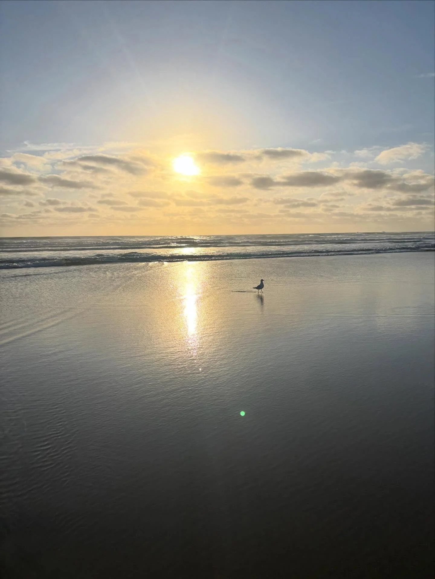 Some days you need to put aside what you should be doing, and just do what feels right. 
Skipped the gym today in lieu of a walking meditation. 💚
Physically I felt like I should do weights&hellip;. 
Mentally, spiritually and emotionally, I needed su