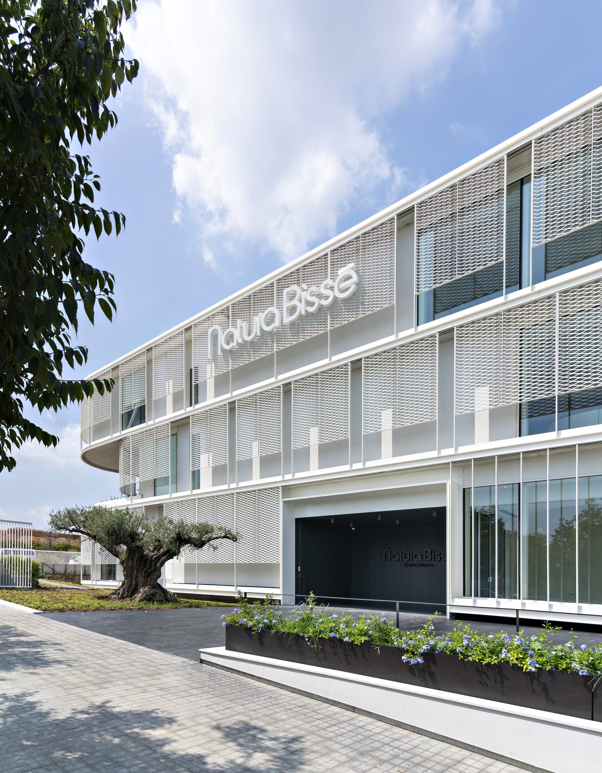 The Longevity Aesthetic: Inside the Mind of Patricia Fisas and the Future of Ageless Wellness